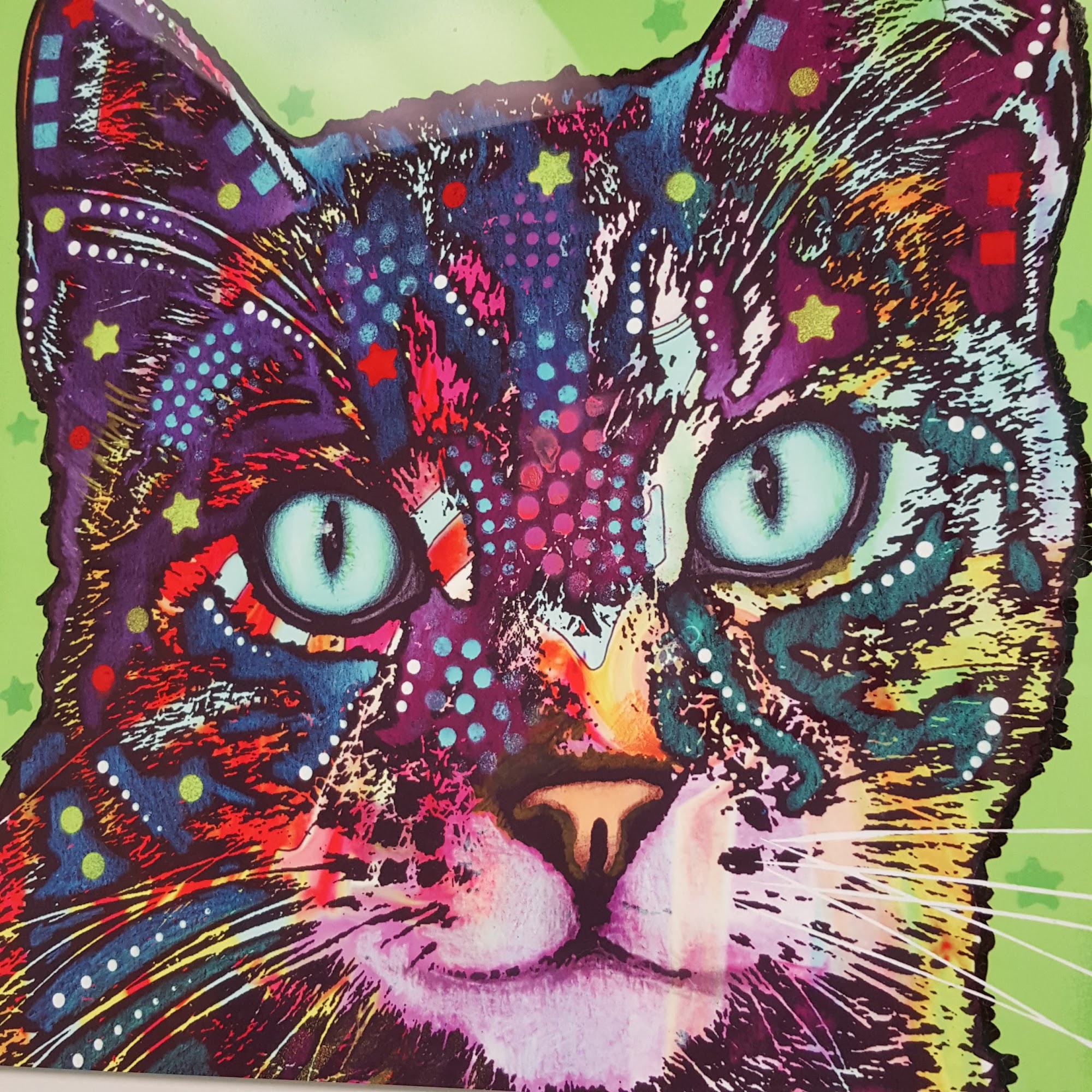 Lake Country Animal Hospital Roanoke Rapids