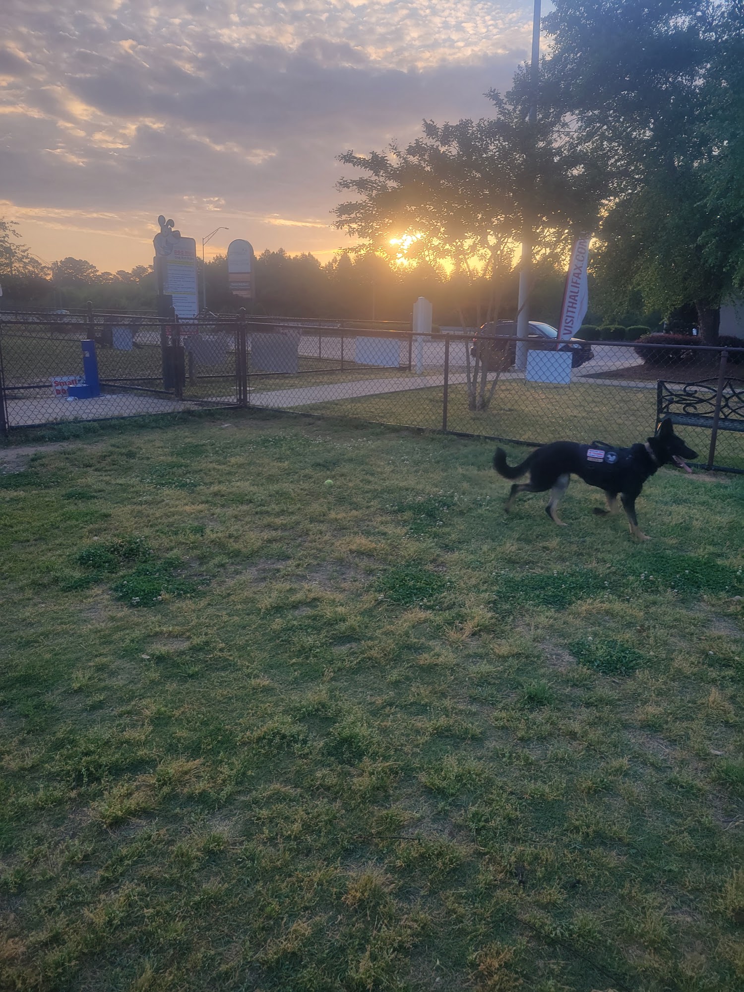 Halifax County Visitor Center Dog Run Roanoke Rapids