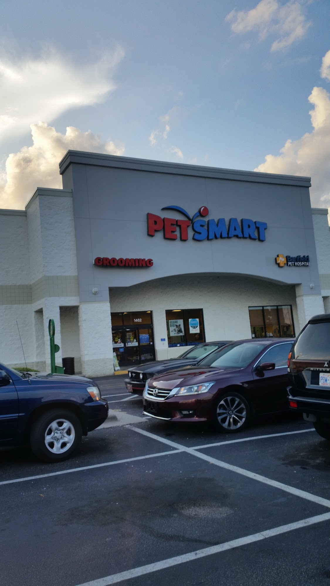 PetSmart Rocky Mount