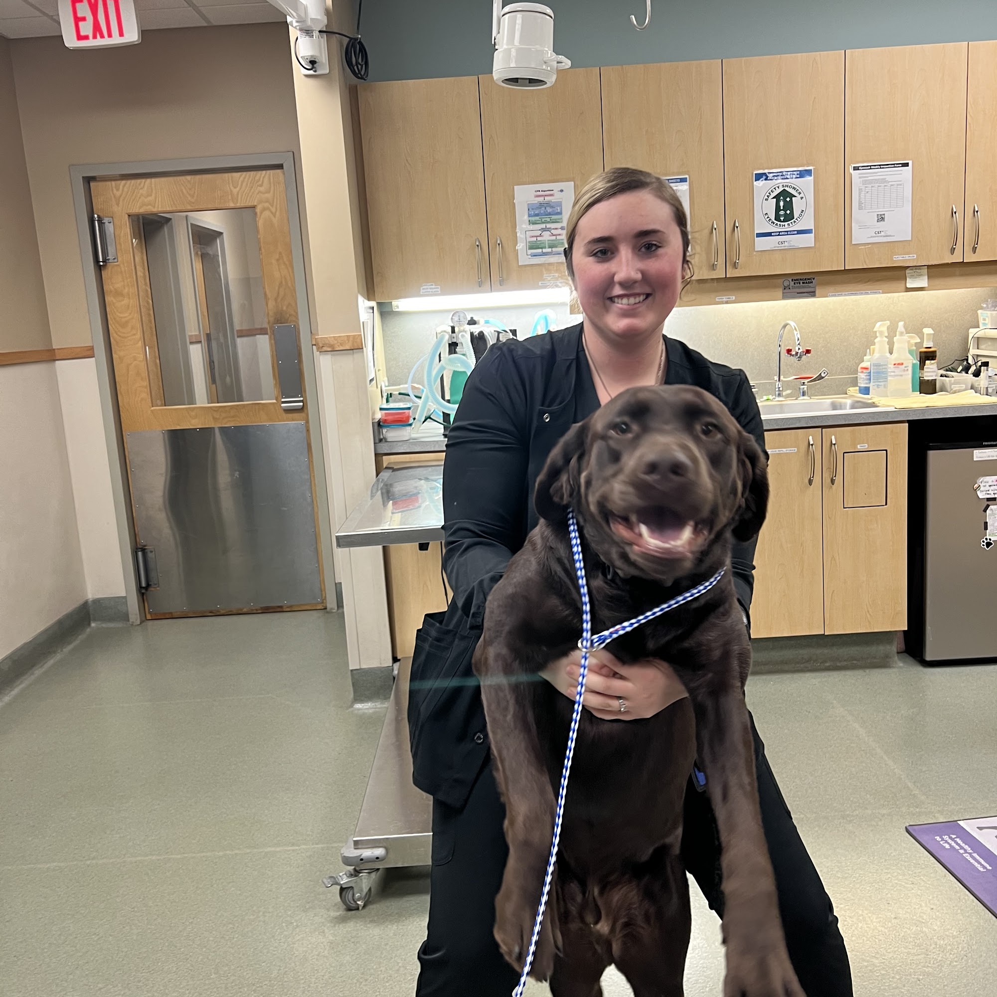 Riverside Veterinary Hospital: Bob Cameron DVM Rocky Mount