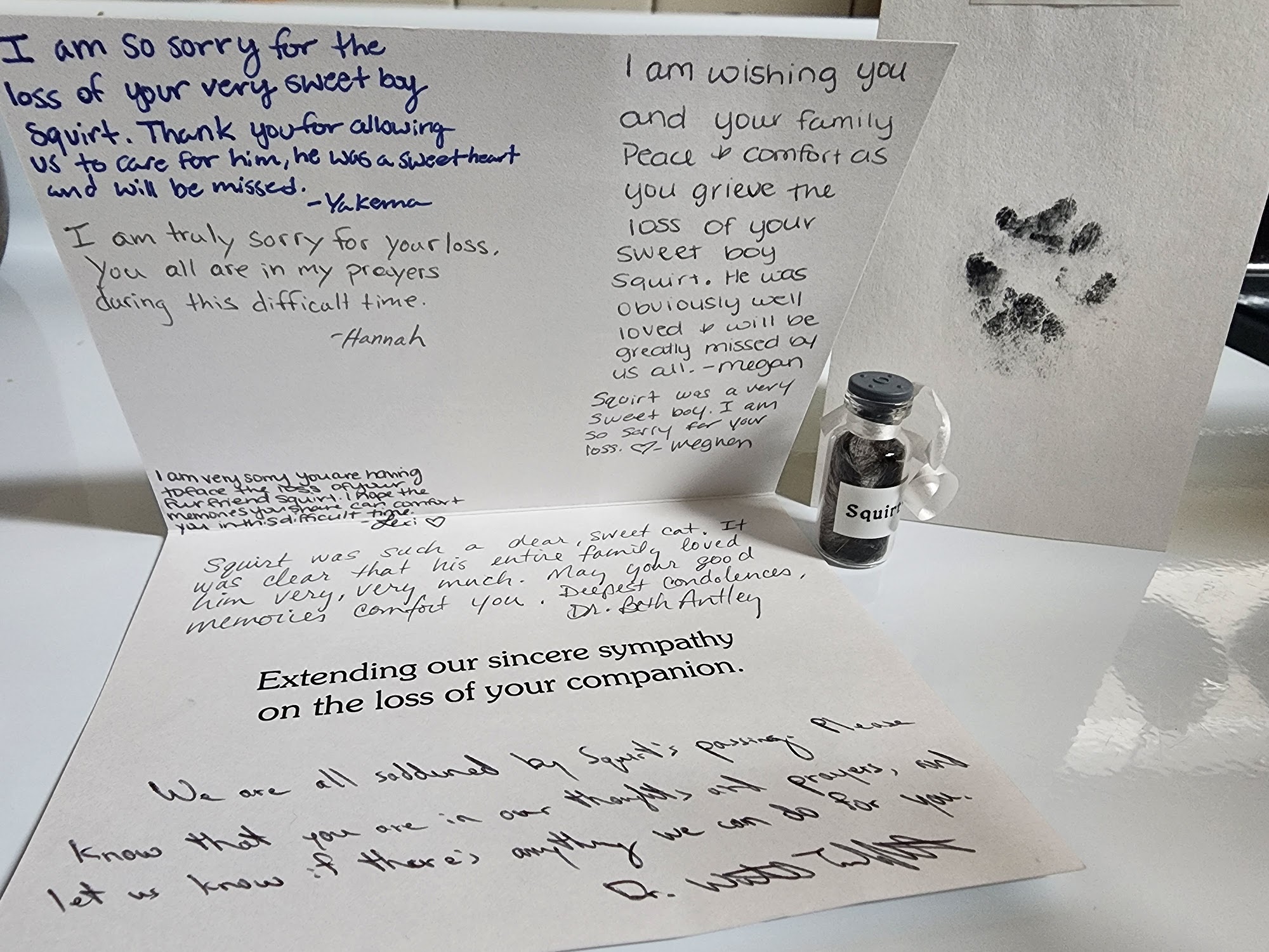 Magnolia Grace Animal Hospital Rocky Mount