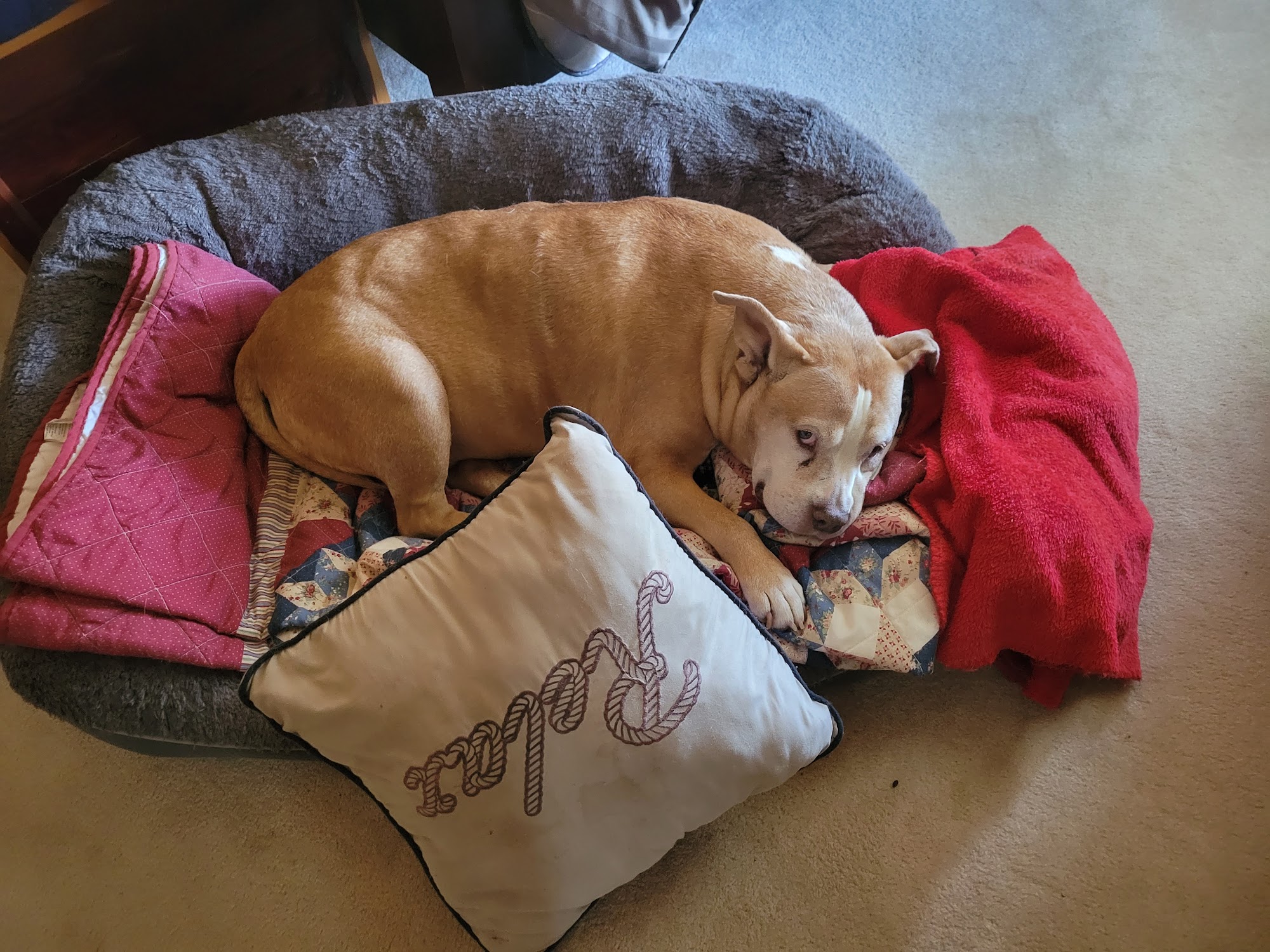 Rolesville Veterinary Hospital Rolesville