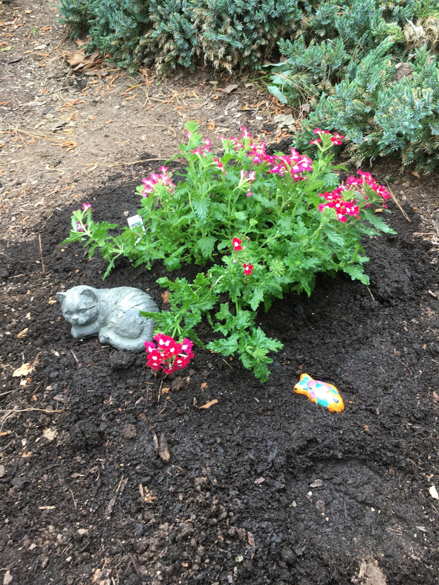 Woodsdale Animal Hospital Roxboro