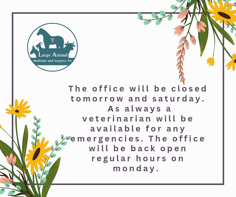 James Andrew Gardner, DVM 3220 Sherrills Ford Rd, Salisbury North Carolina 28147