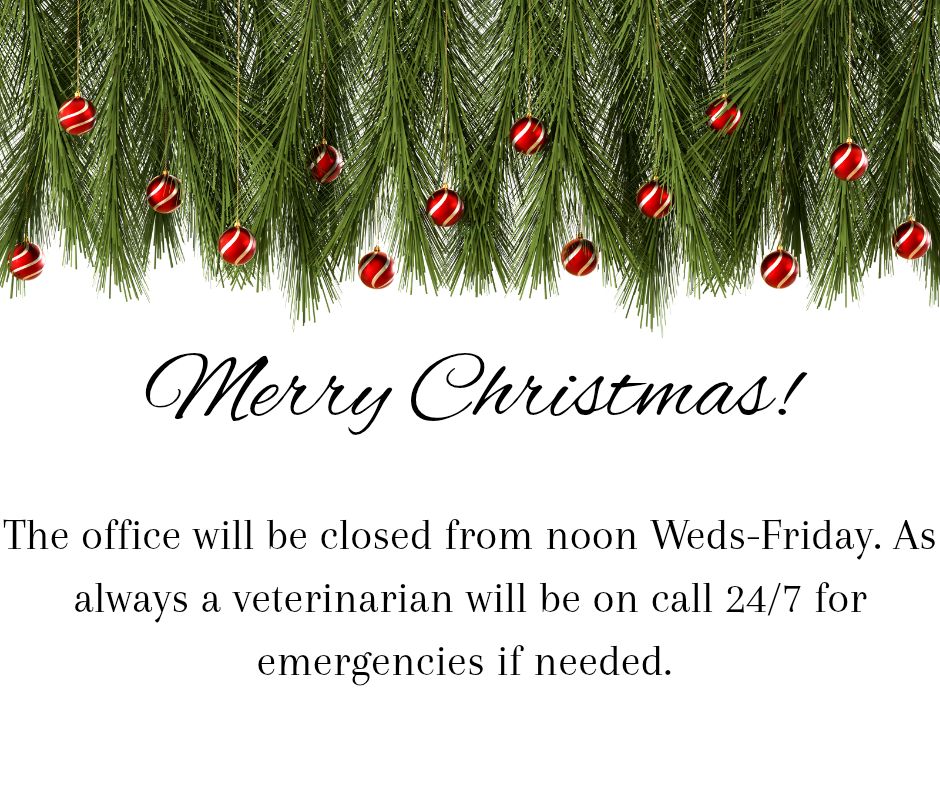 James Andrew Gardner, DVM