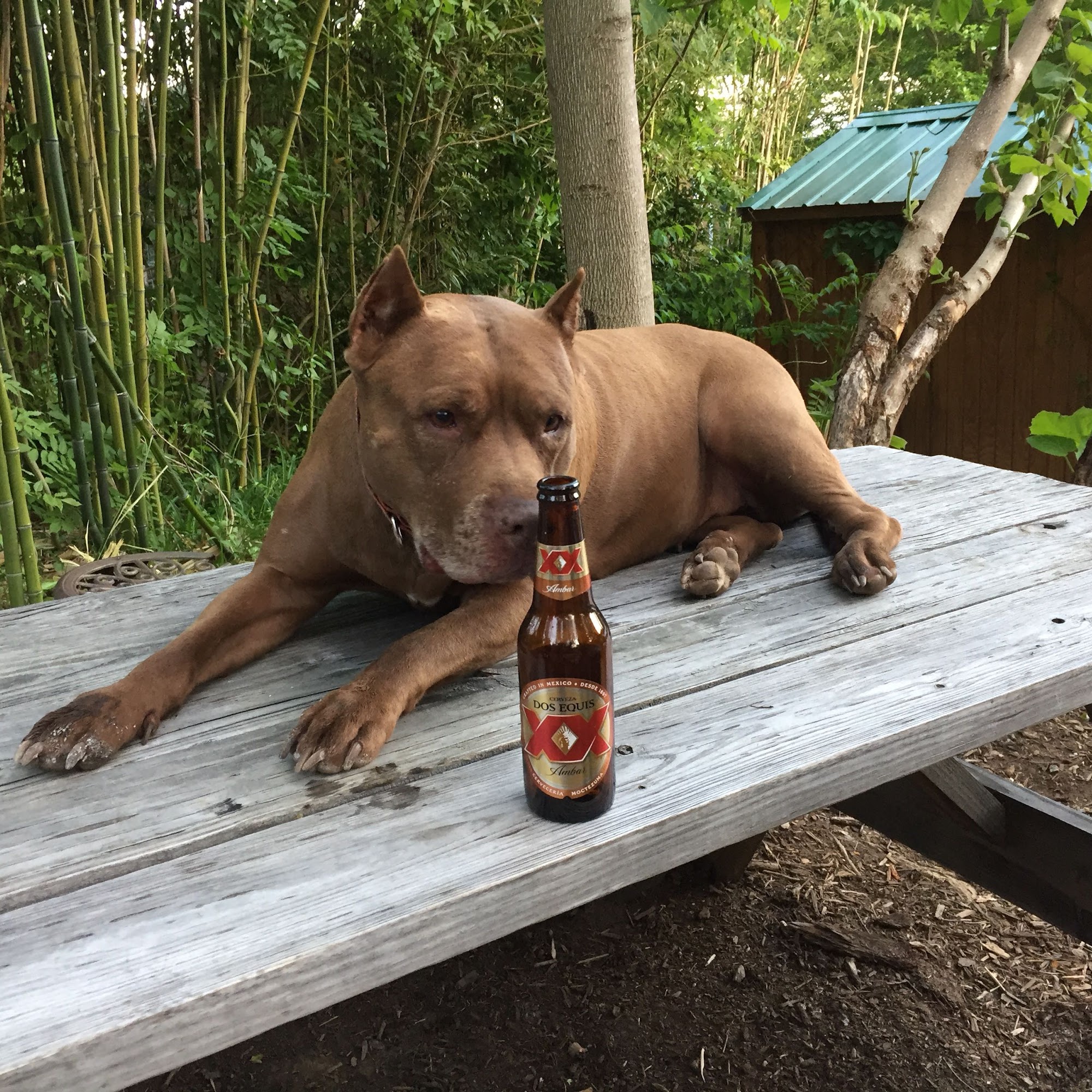 Green River Brew Depot Saluda