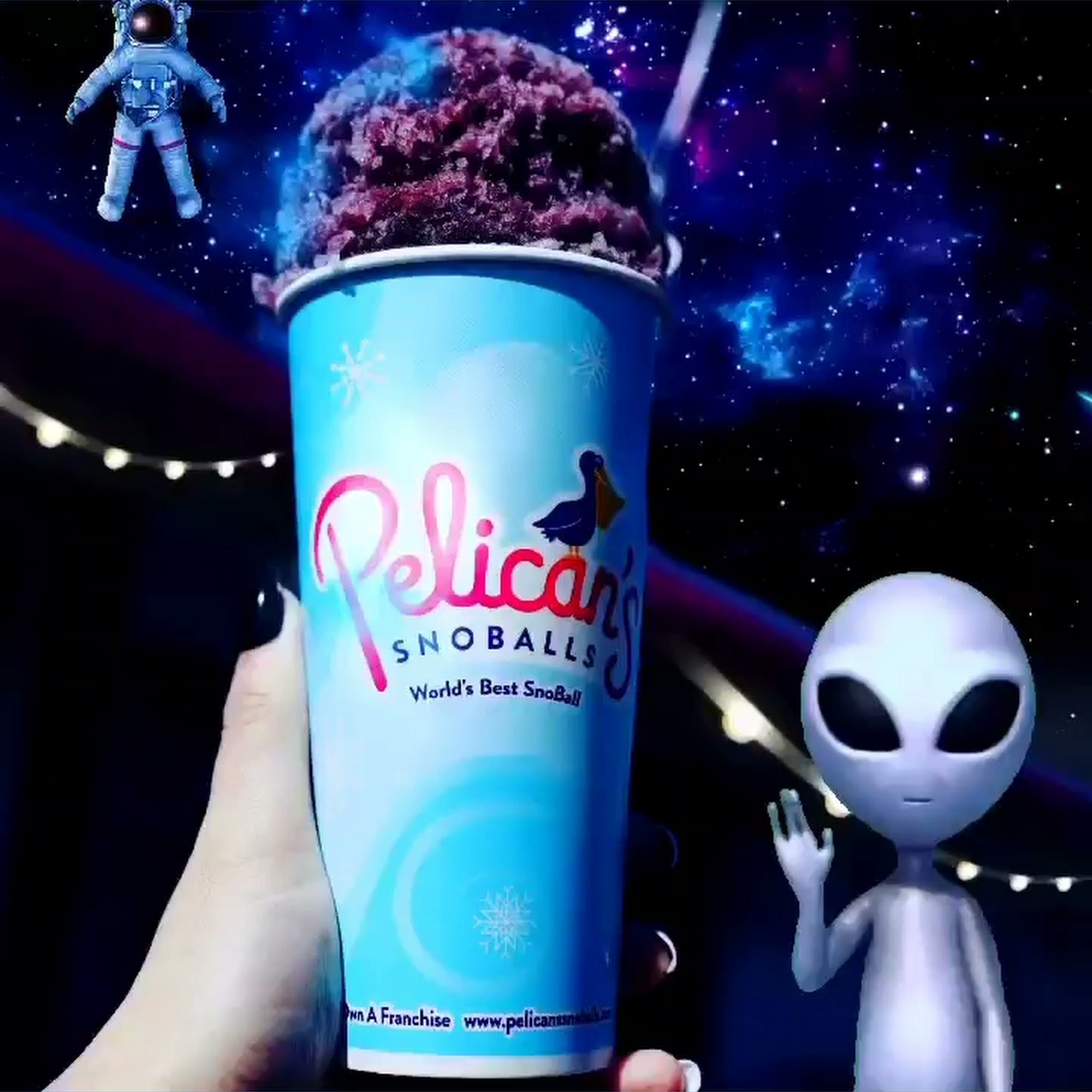 Pelican's Snoballs of Sanford Sanford