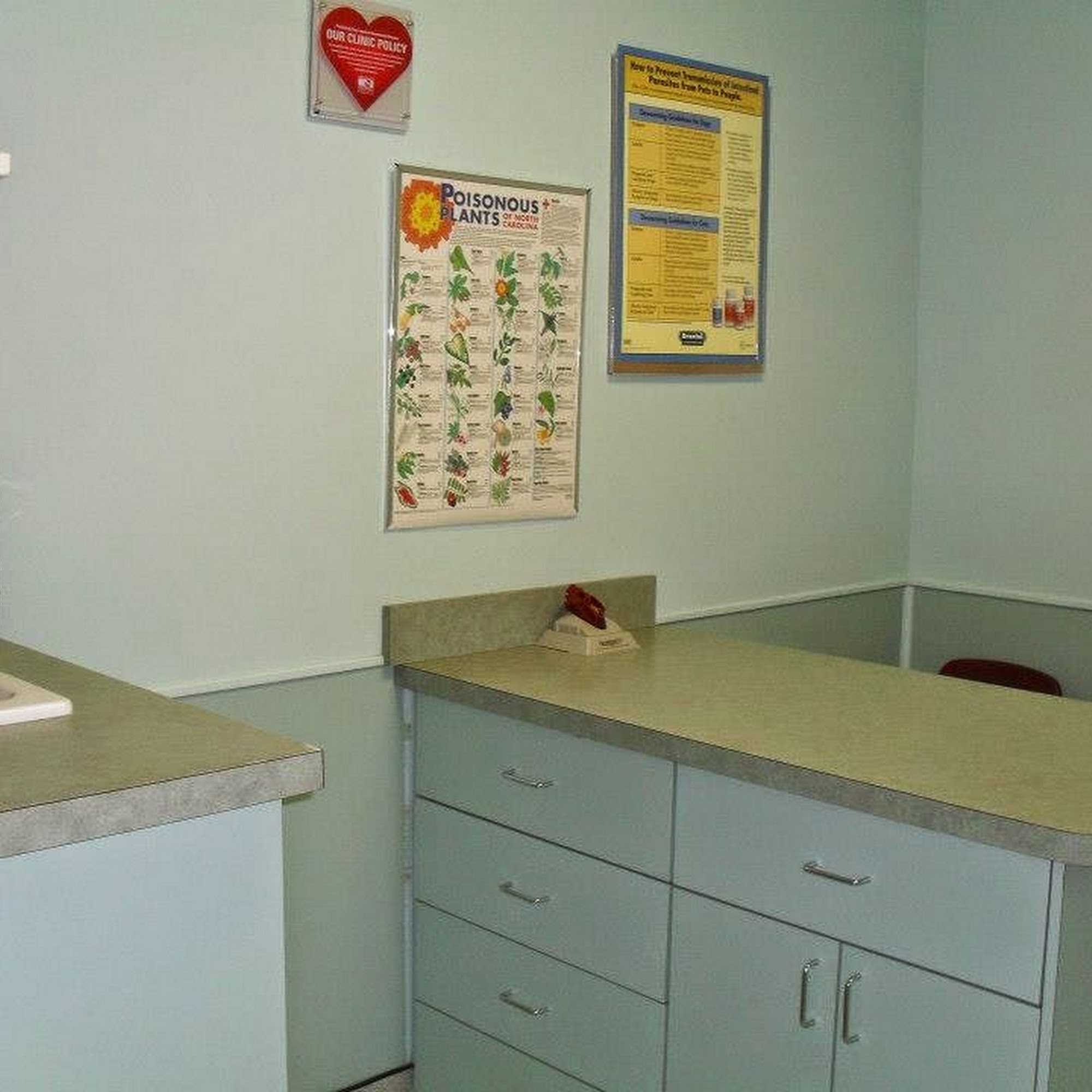 Carolina Veterinary Hospital of Sanford, PC Sanford
