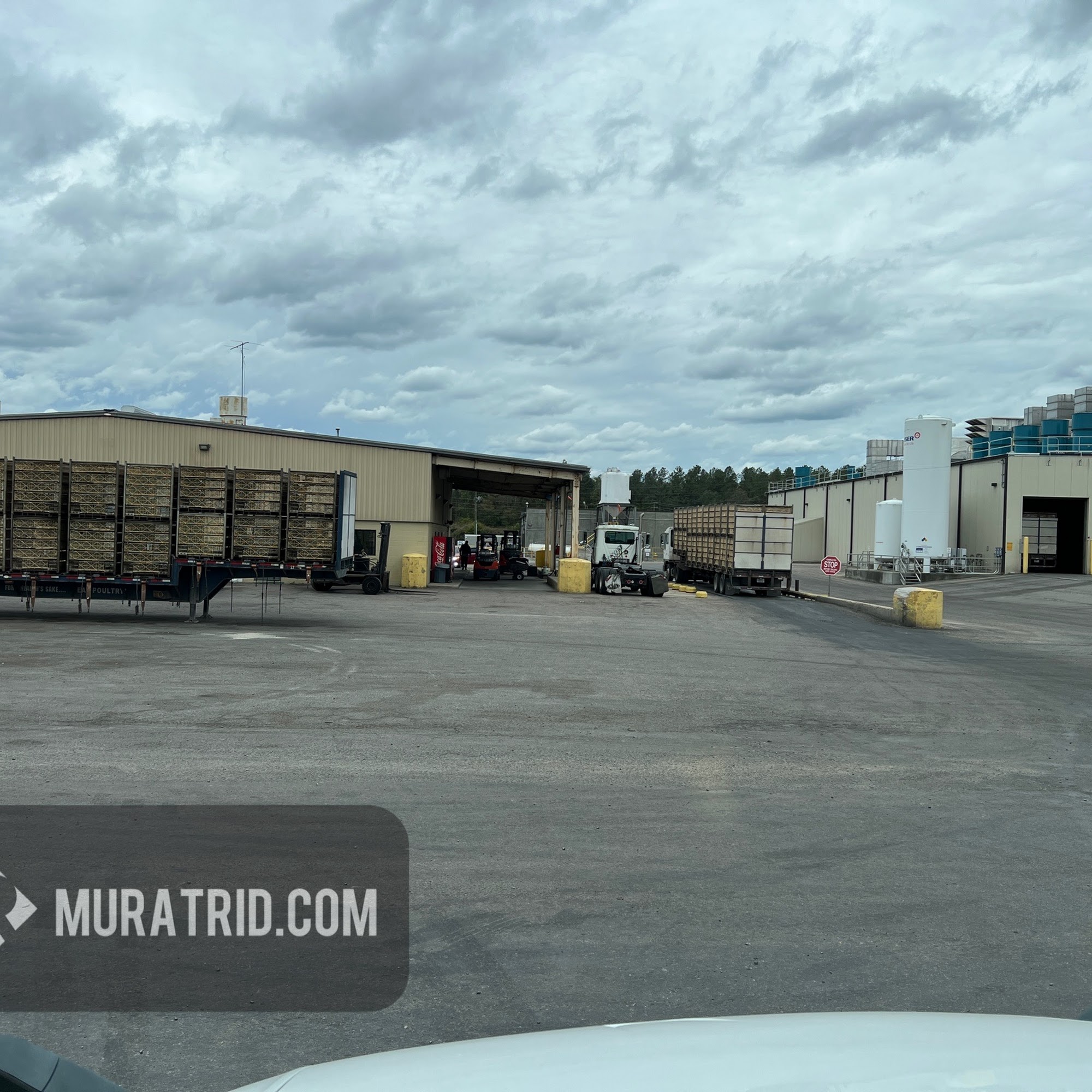 Pilgrim's Pride Corporation Sanford