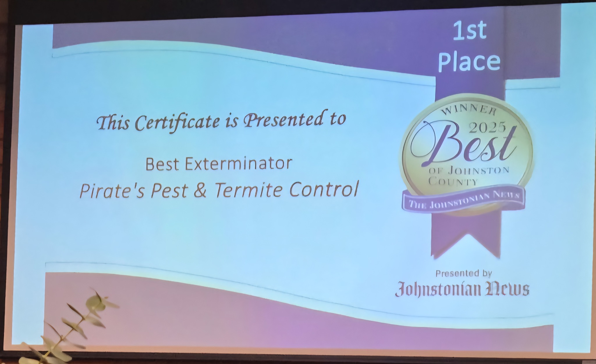 Pirate’s Pest & Termite Control