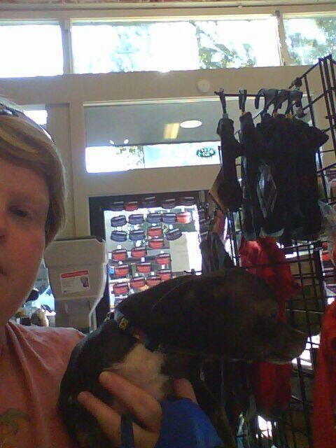 RollOver Pets Shelby