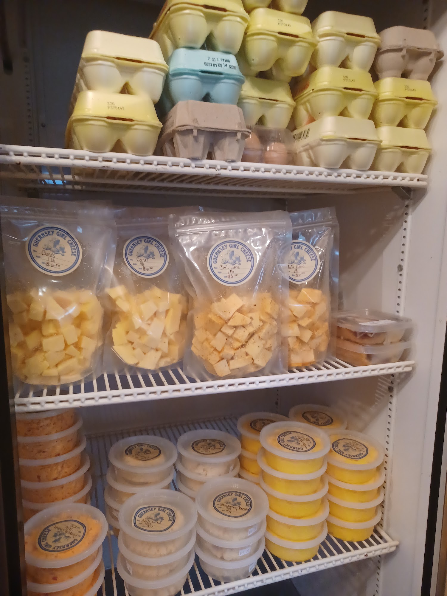 Guernsey Girl Shelby