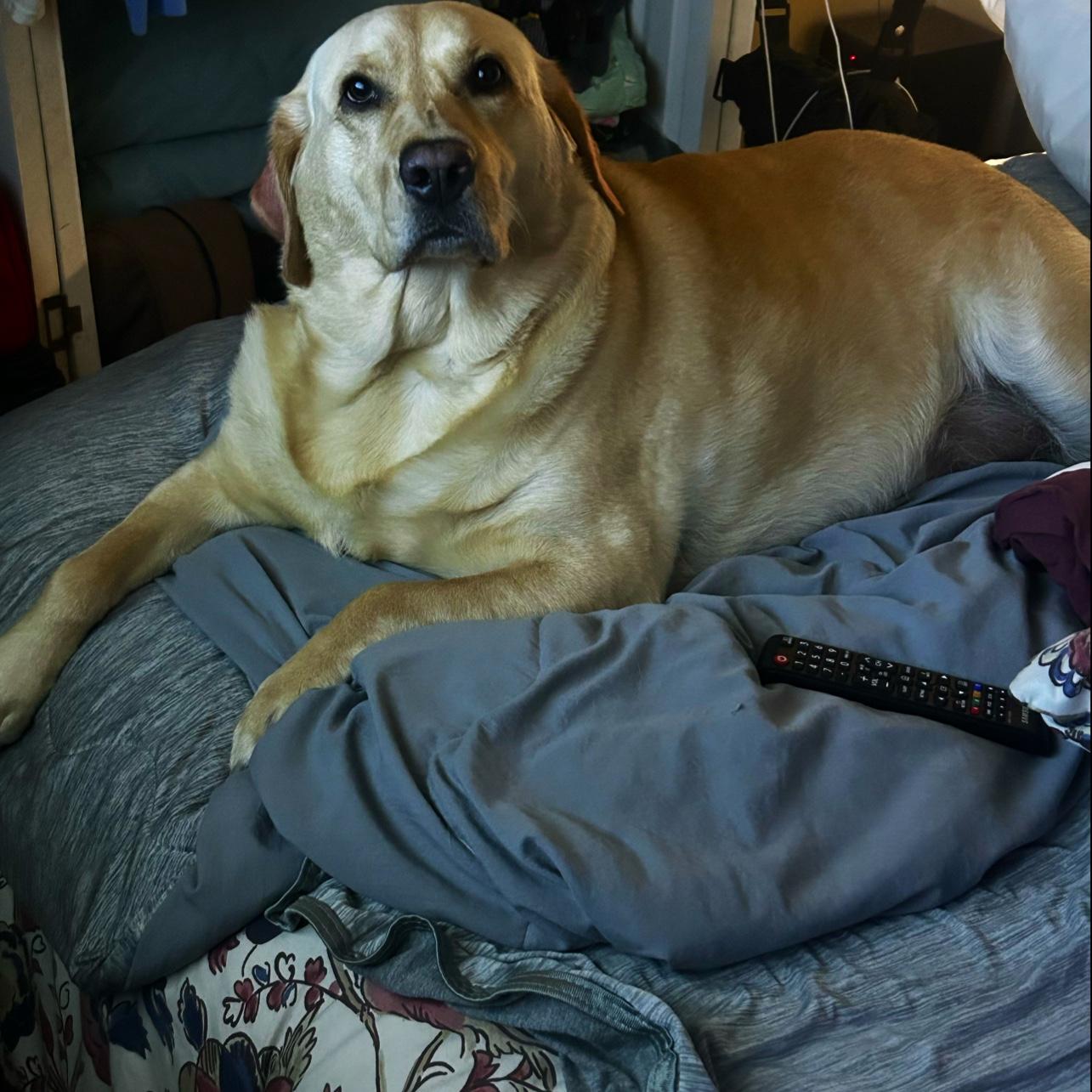 Petsense by Tractor Supply Sherrills Ford