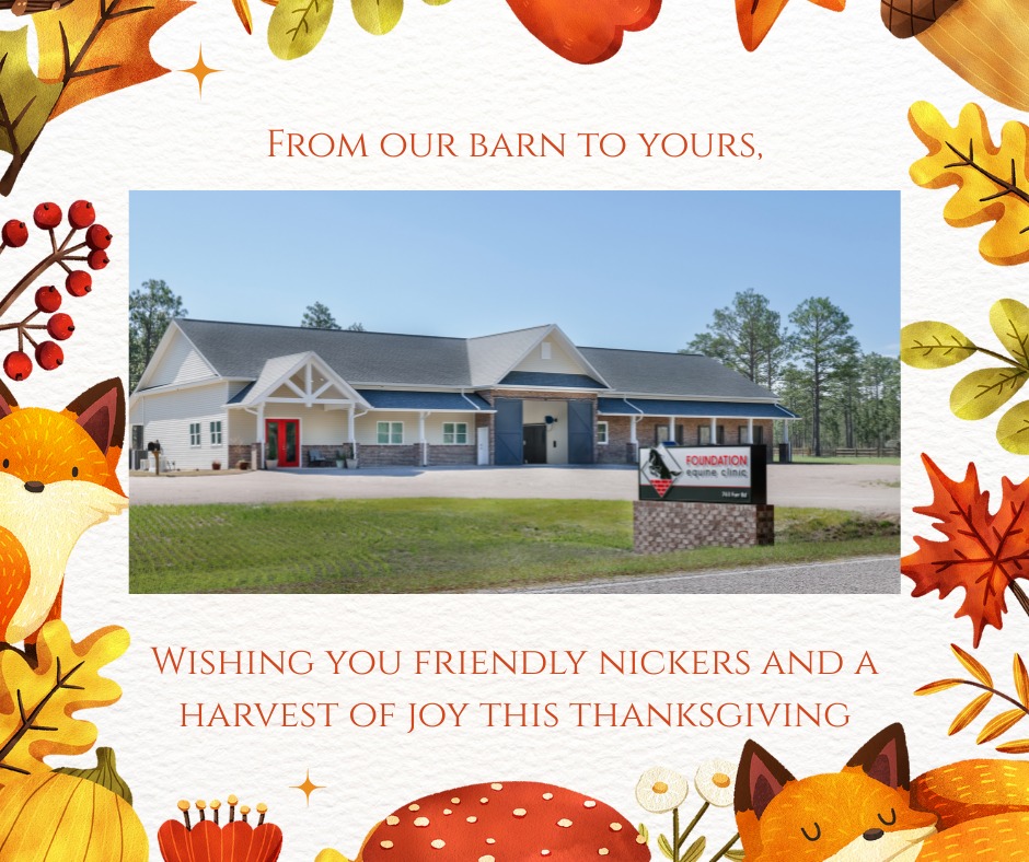 Foundation Equine Clinic