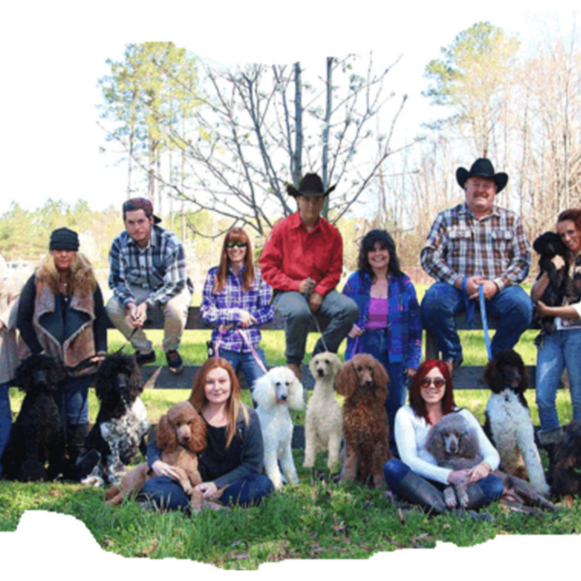 Family Affair Standard Poodles Spring Hope