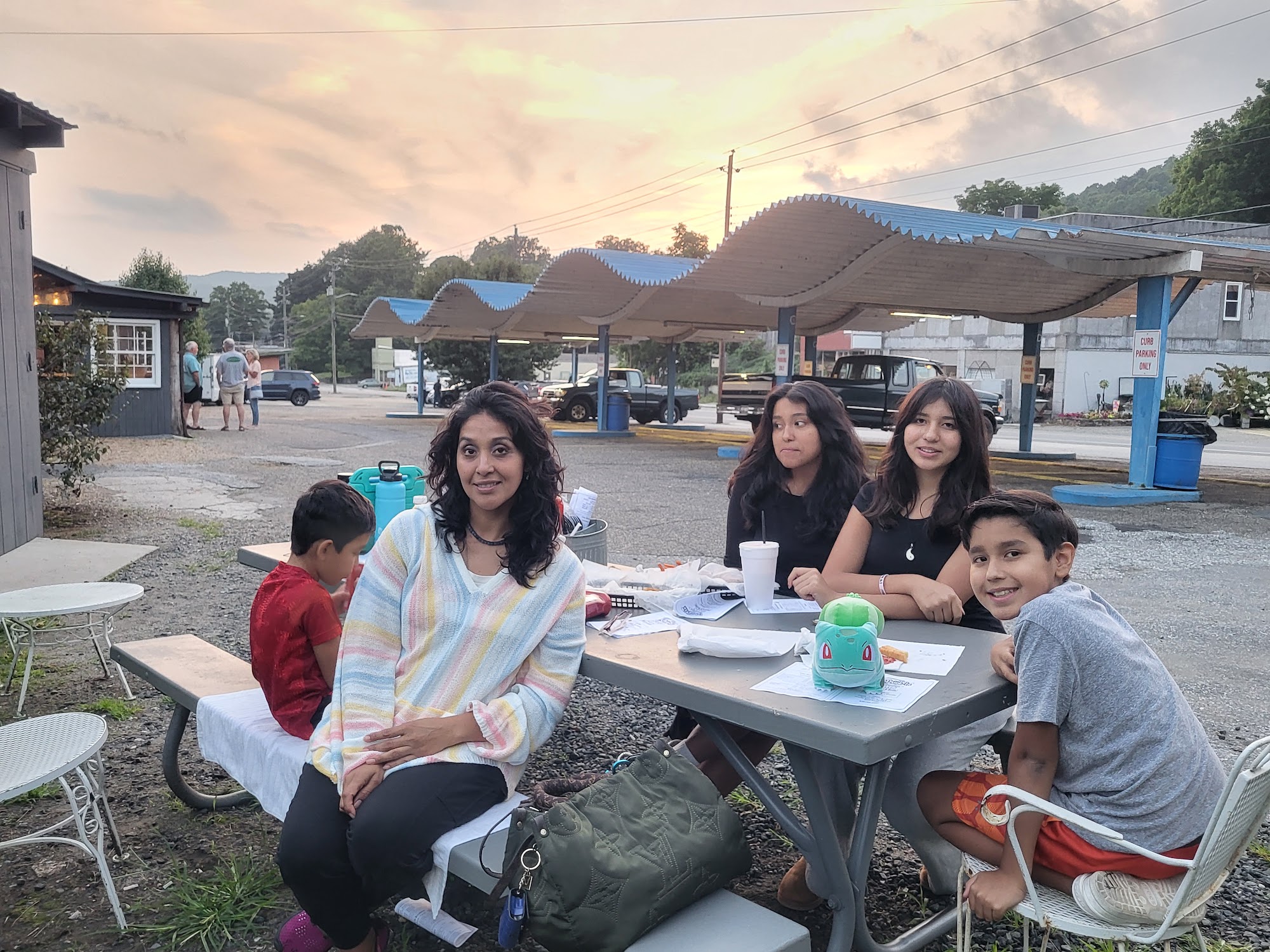 City Drive-In Spruce Pine