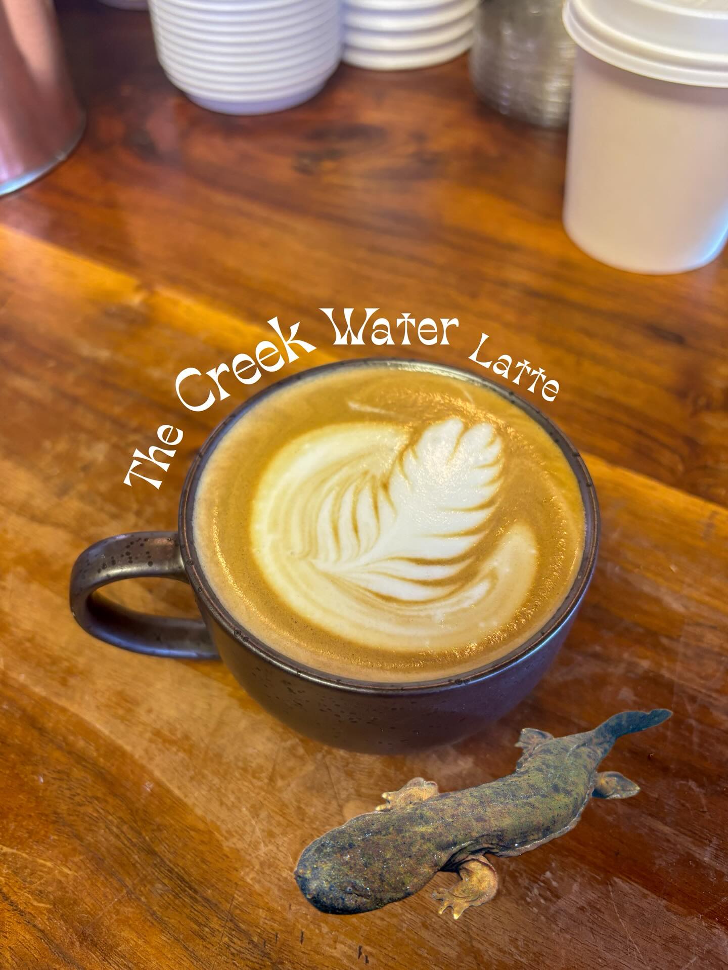 Fox and the Fig Spruce Pine