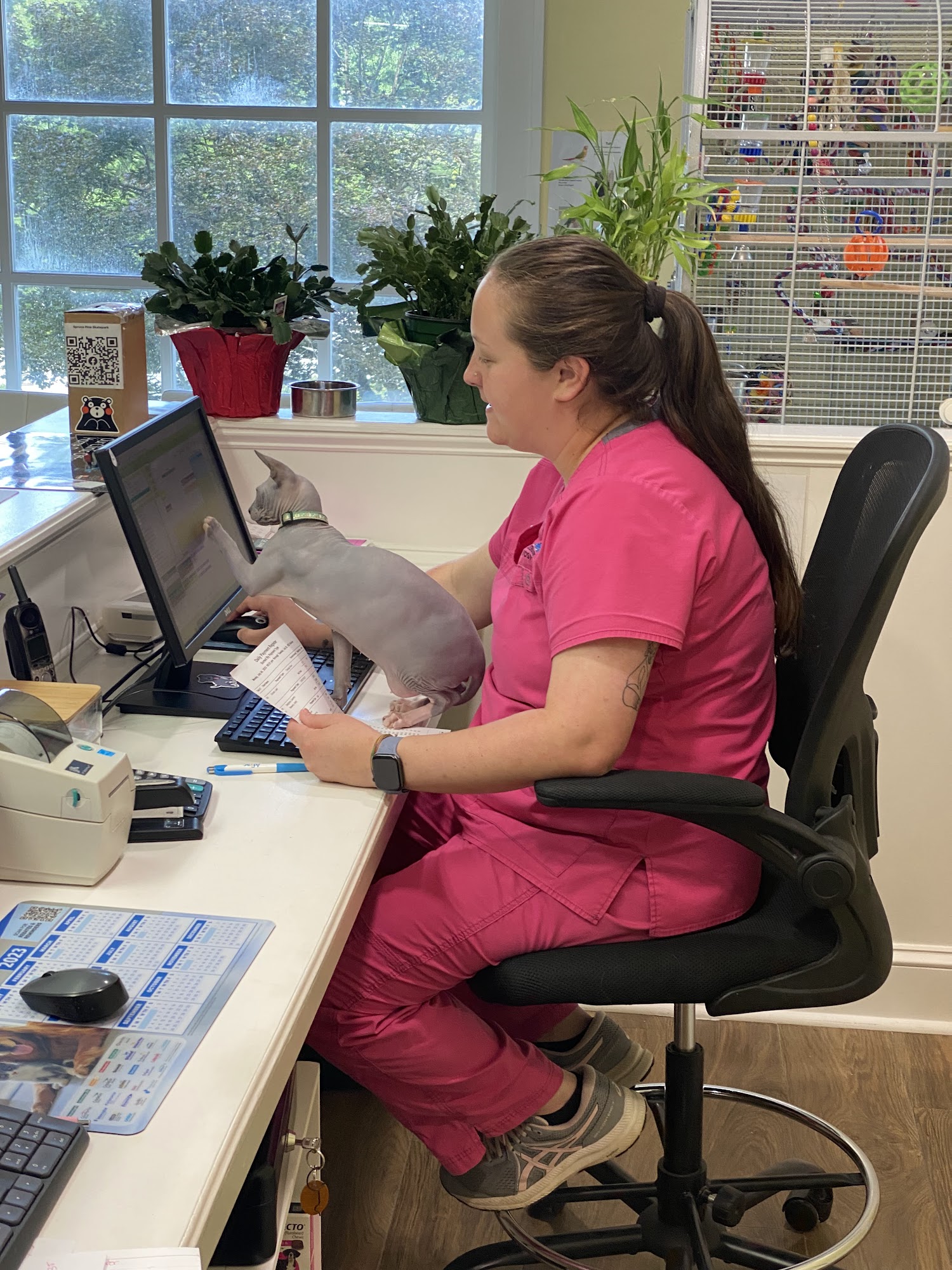 Mitchell Veterinary Hospital Spruce Pine