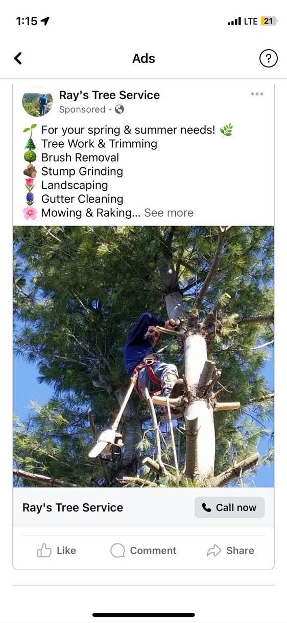 Ray's Tree Services