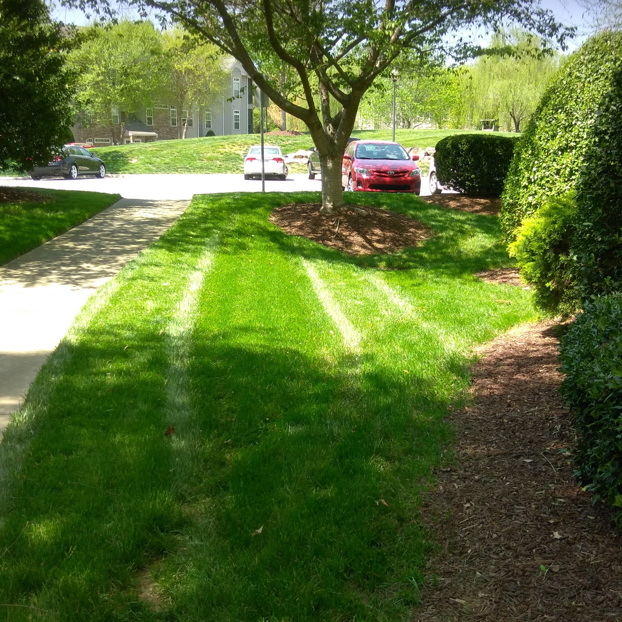 Lucy's Friends Pet Sitting, LLC Stokesdale