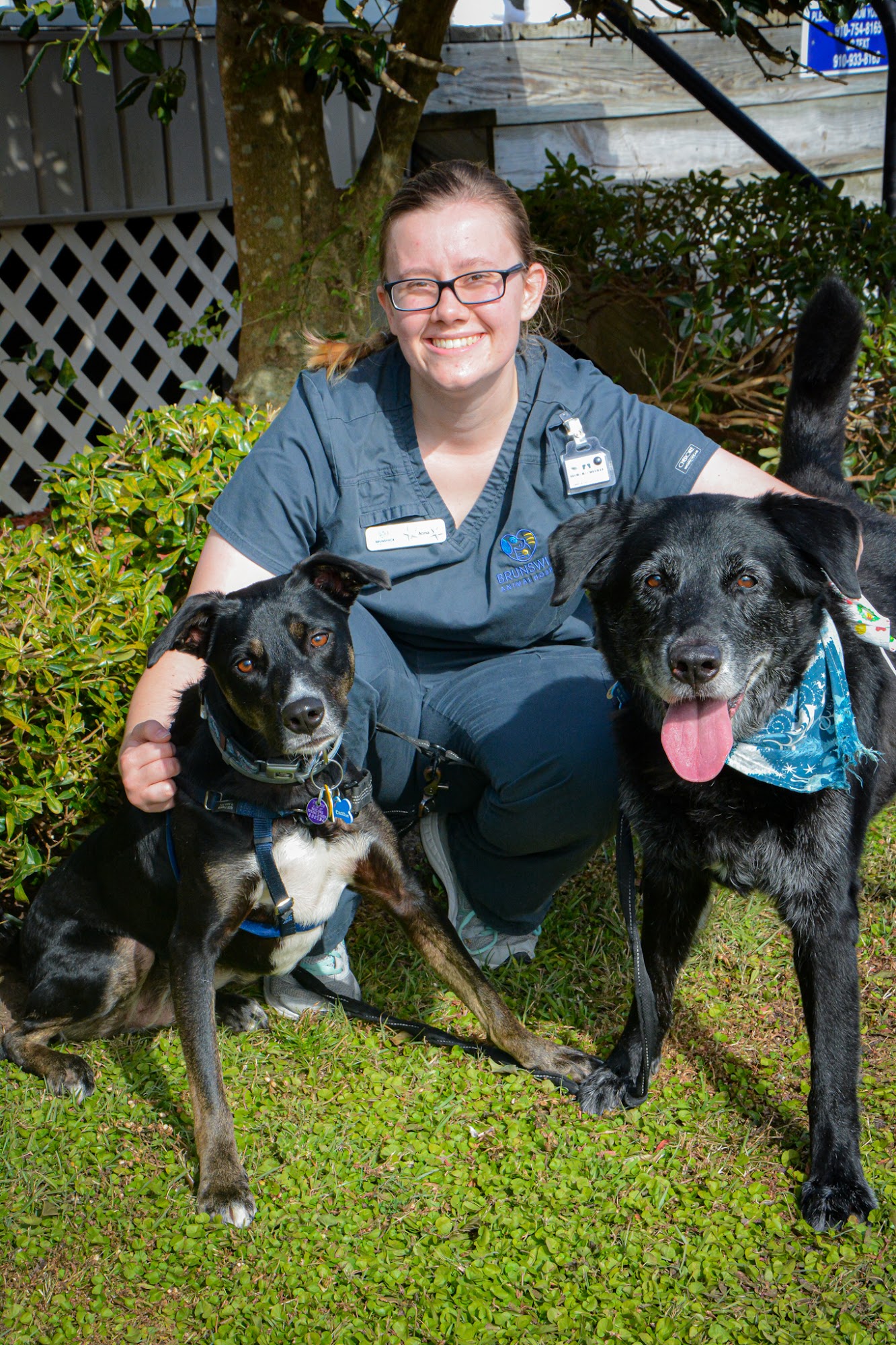 Brunswick Animal Hospital Supply