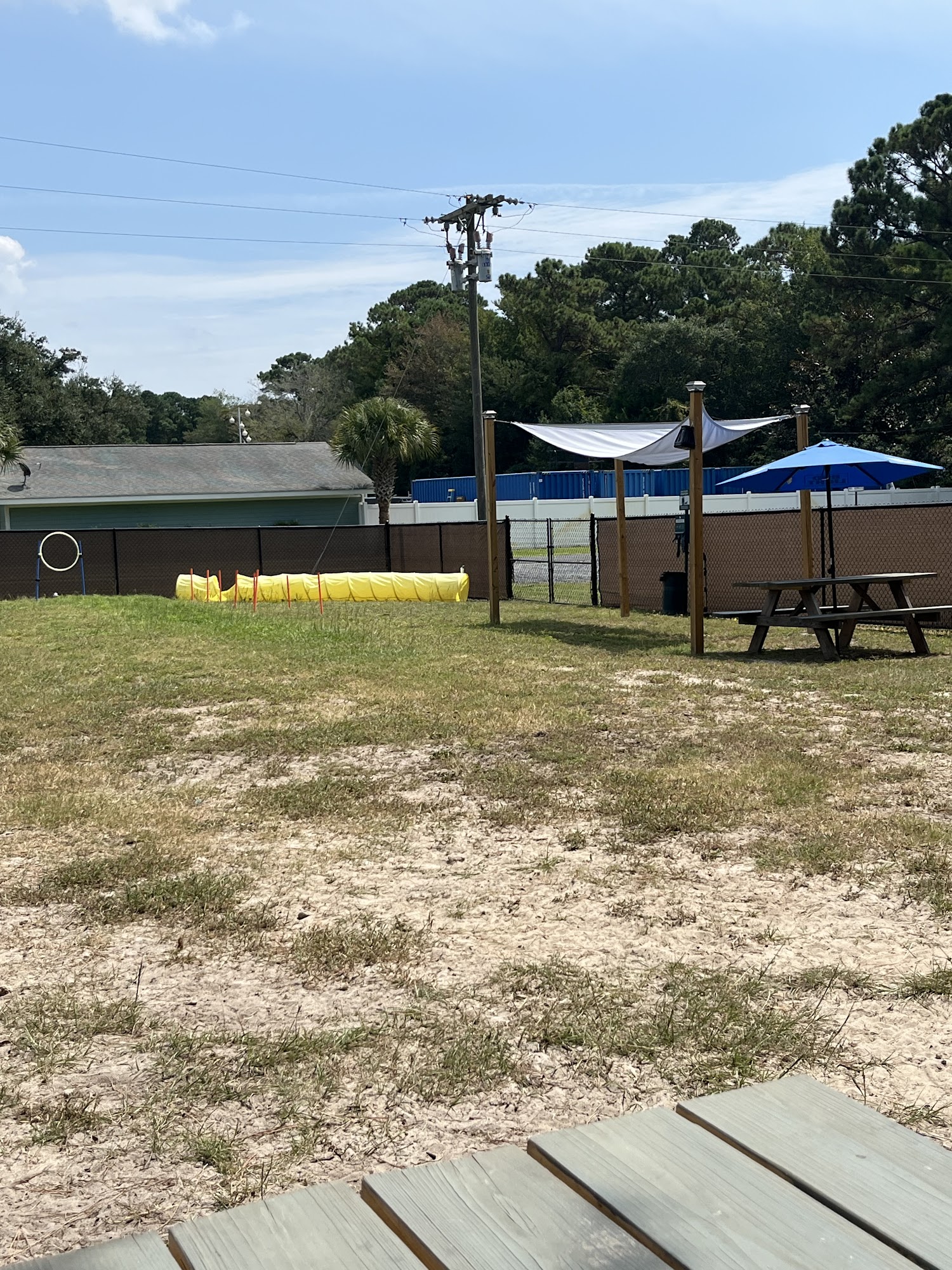 Salty Dogs Cafe and Bark Bar Supply