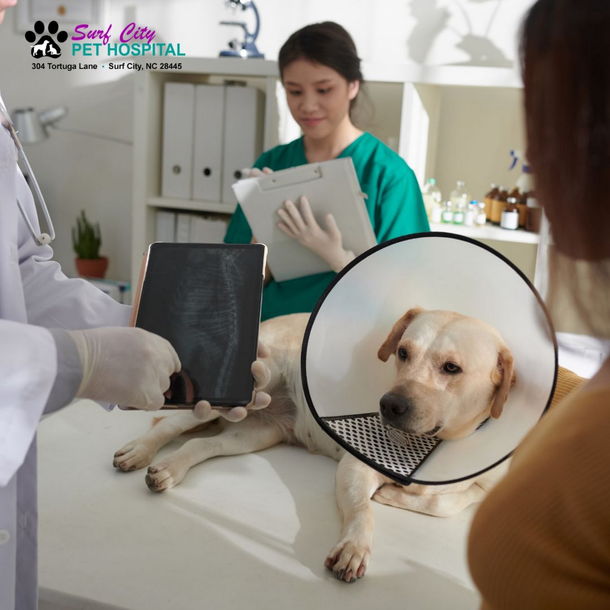 Surf City Pet Hospital Surf City