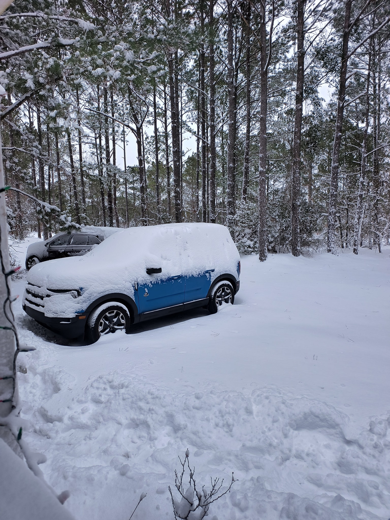 Surf City Coffee Surf City