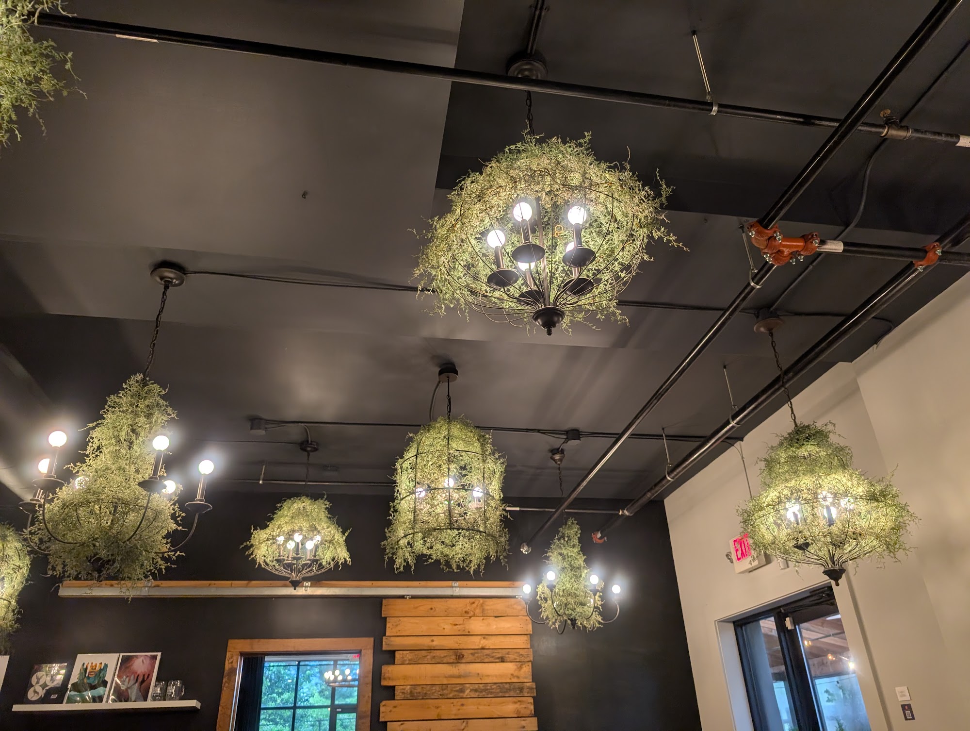Terra Nova Beer Co - Swannanoa