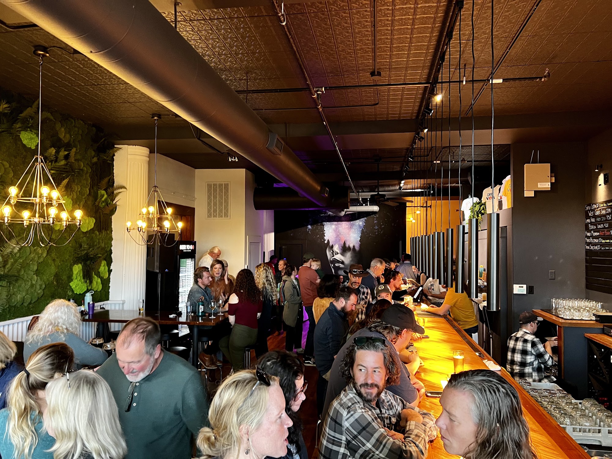 Terra Nova Beer Co - Swannanoa Menu