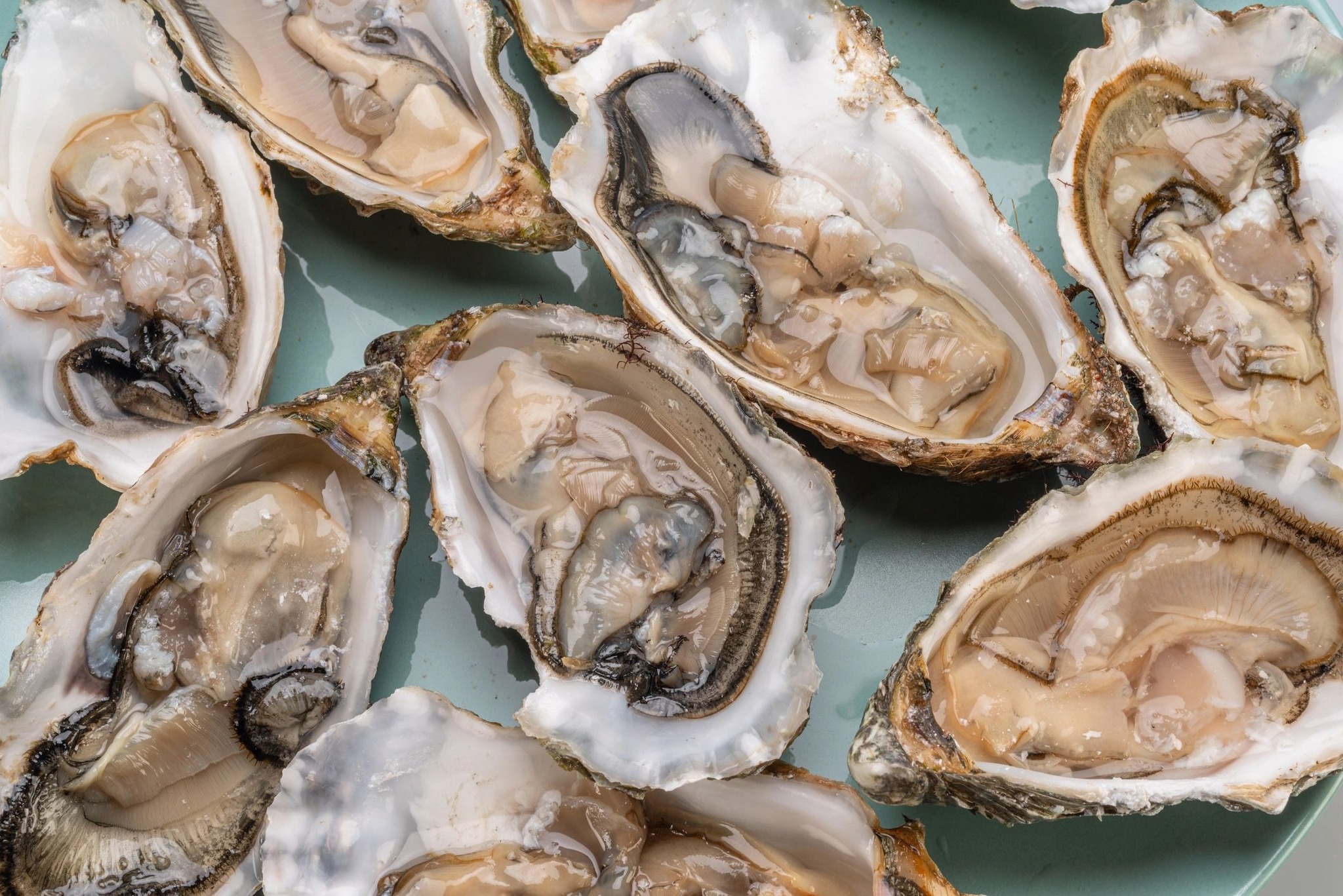 Creekside Oyster House and Grill Sylva