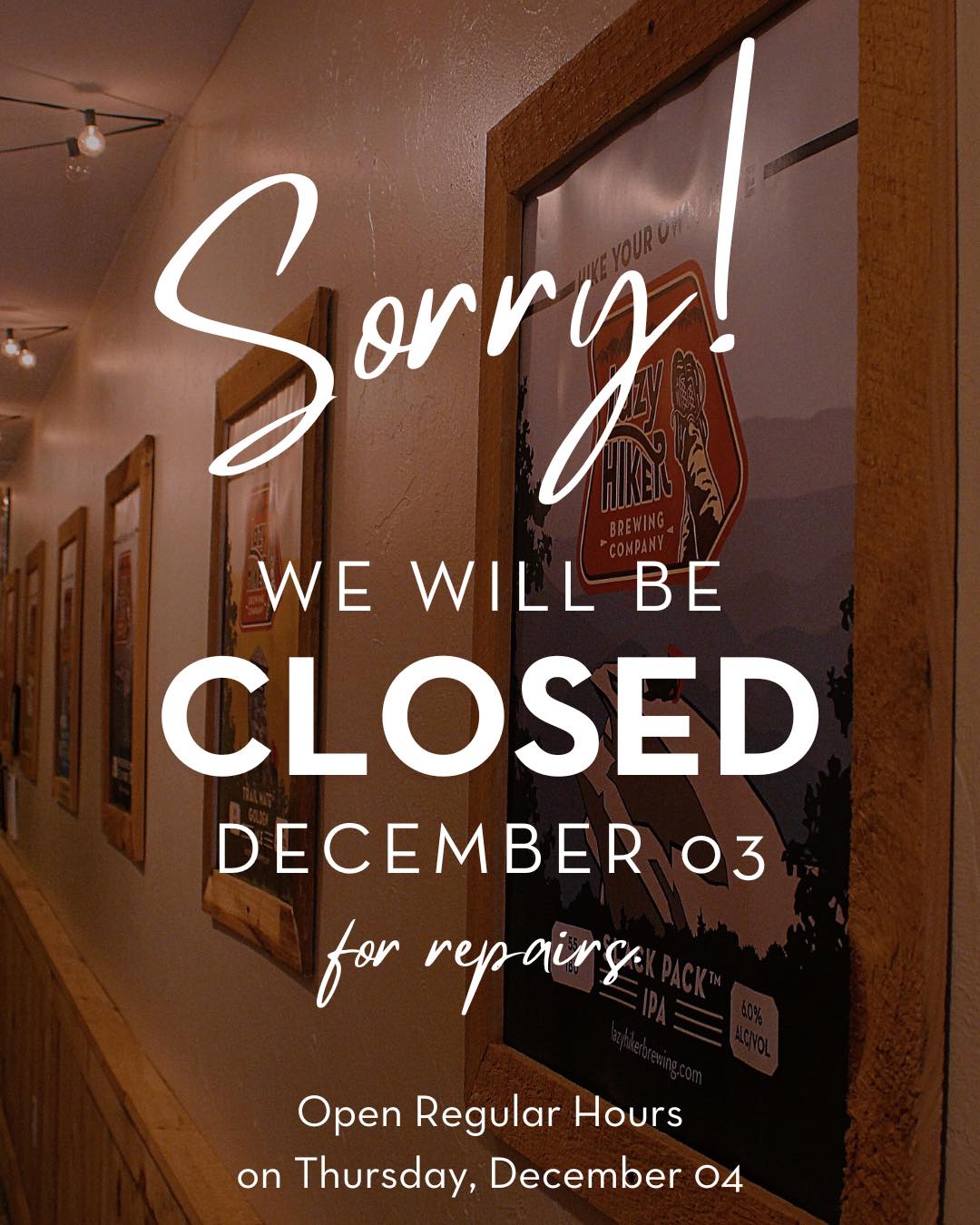 Lazy Hiker Brewing - Sylva Taproom Sylva