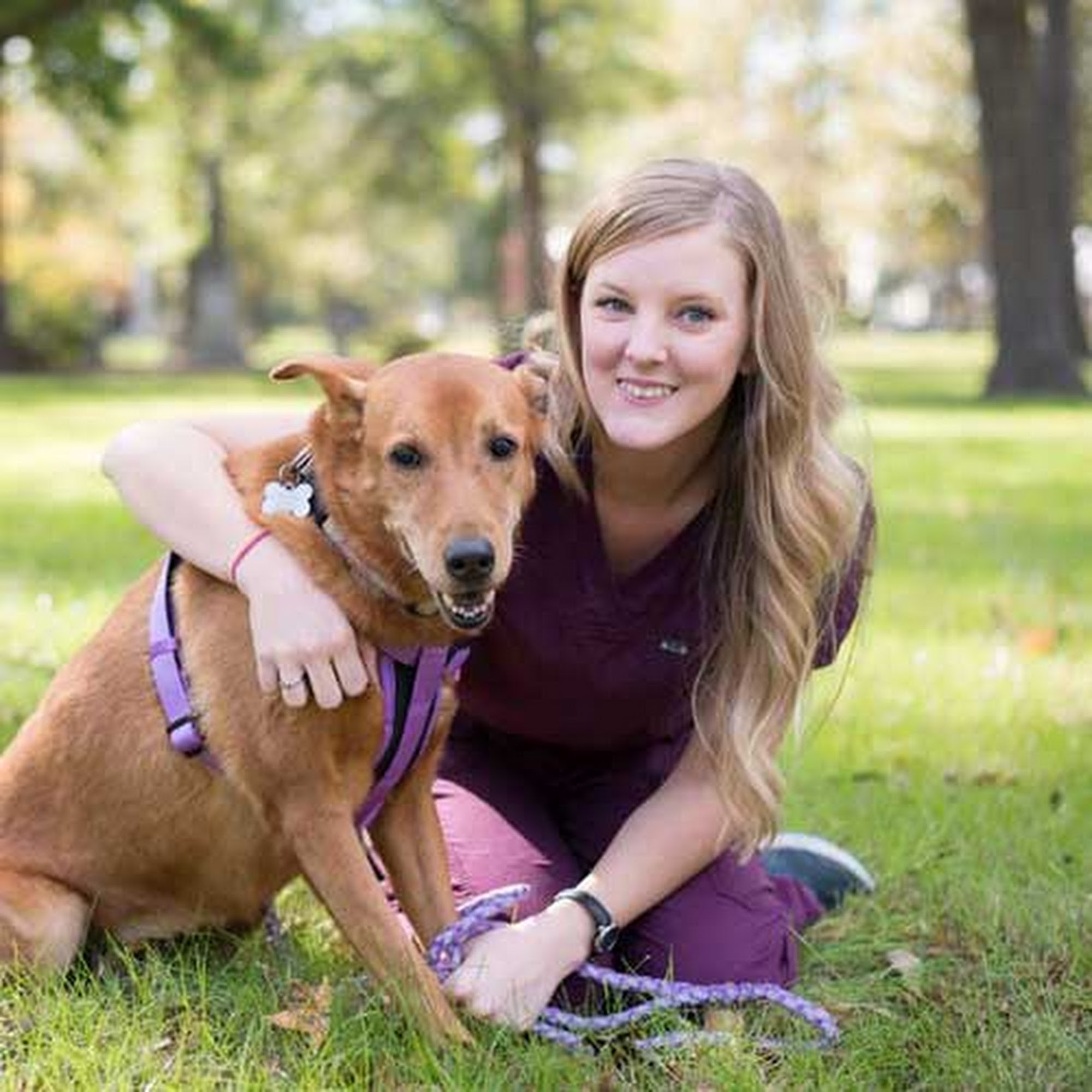 Albemarle Animal Hospital Tarboro