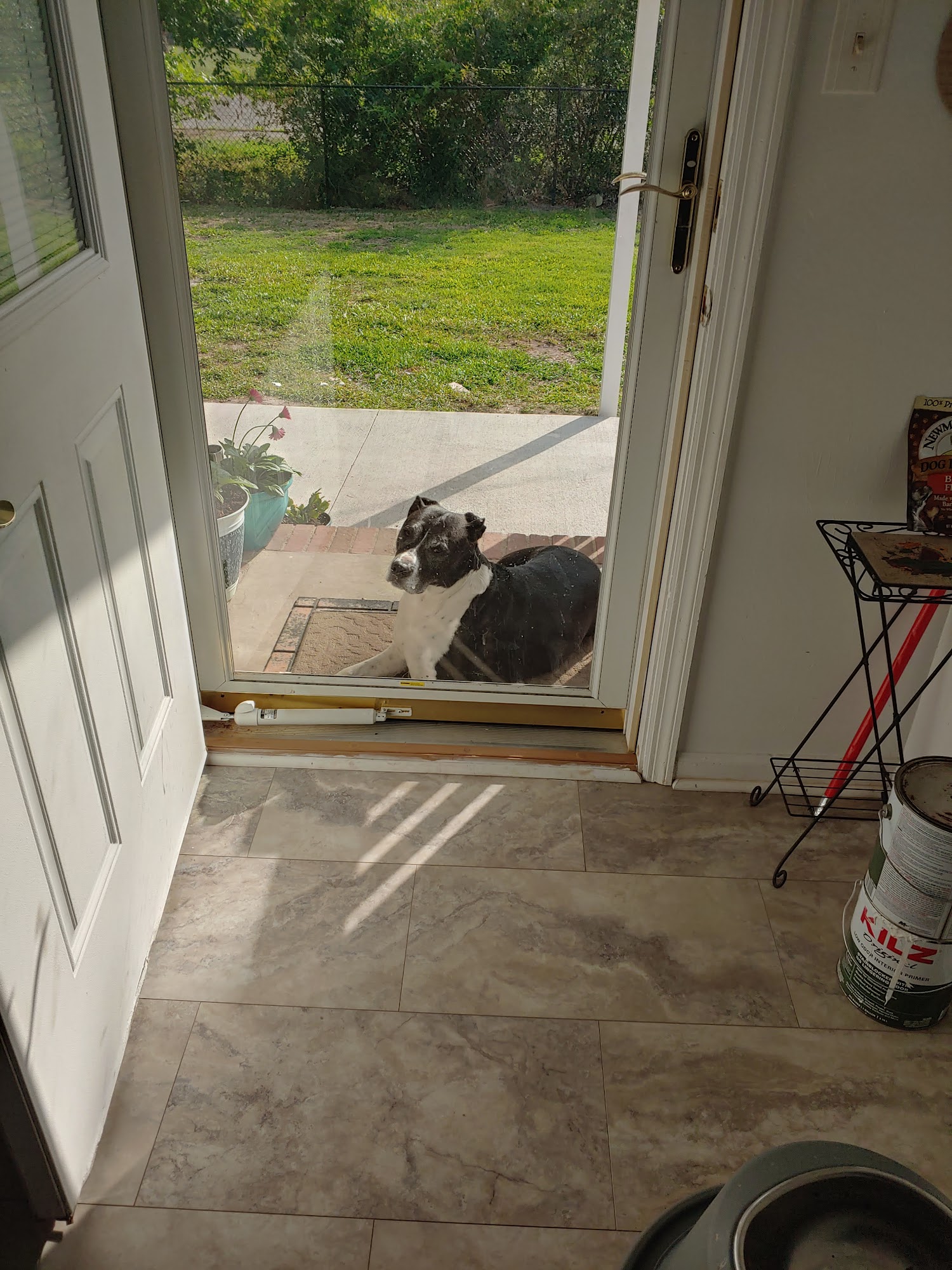 Tarboro Animal Clinic Tarboro