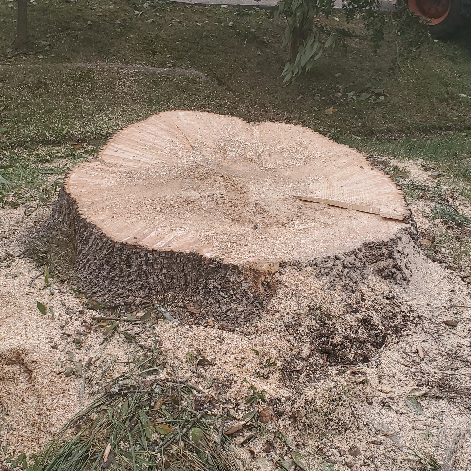 Elevational Heights Tree Care LLC
