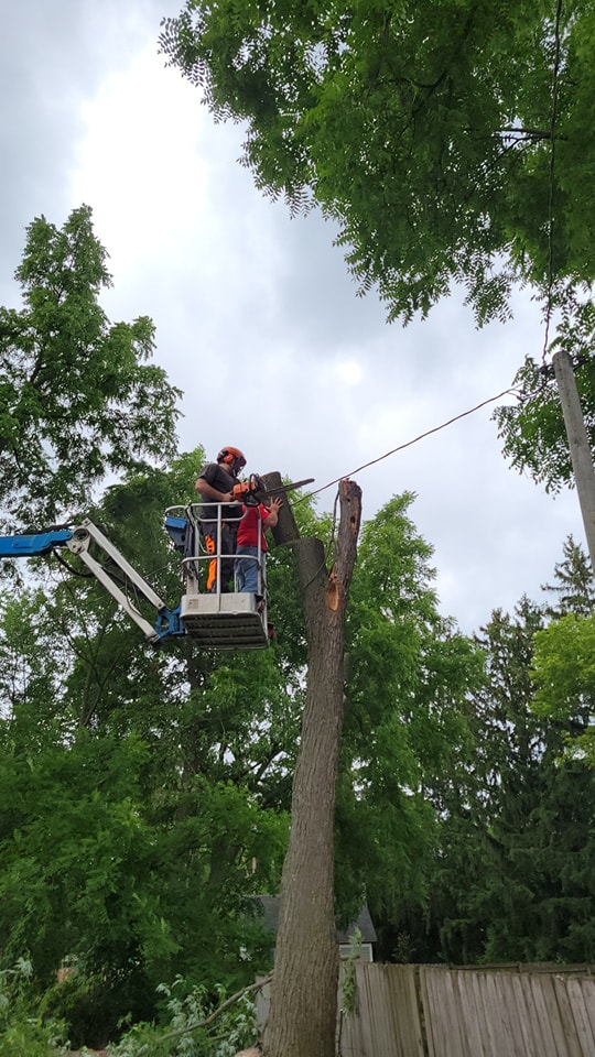 Double j stump grinding
