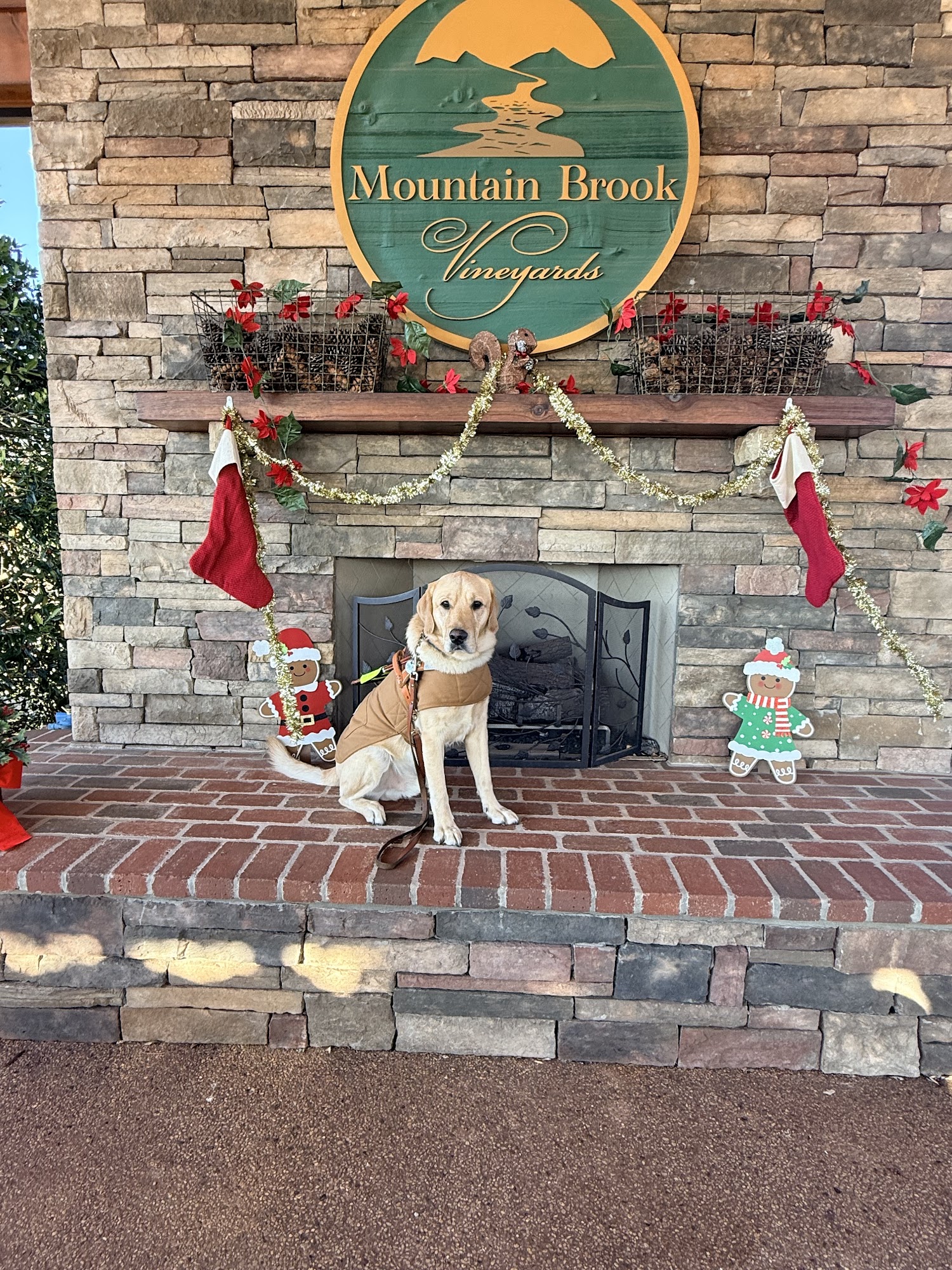 Mountain Brook Vineyards Tryon