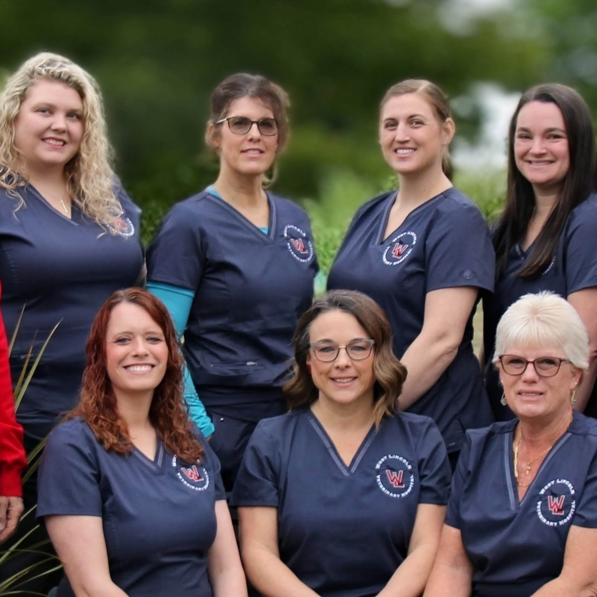 West Lincoln Veterinary Hospital Vale