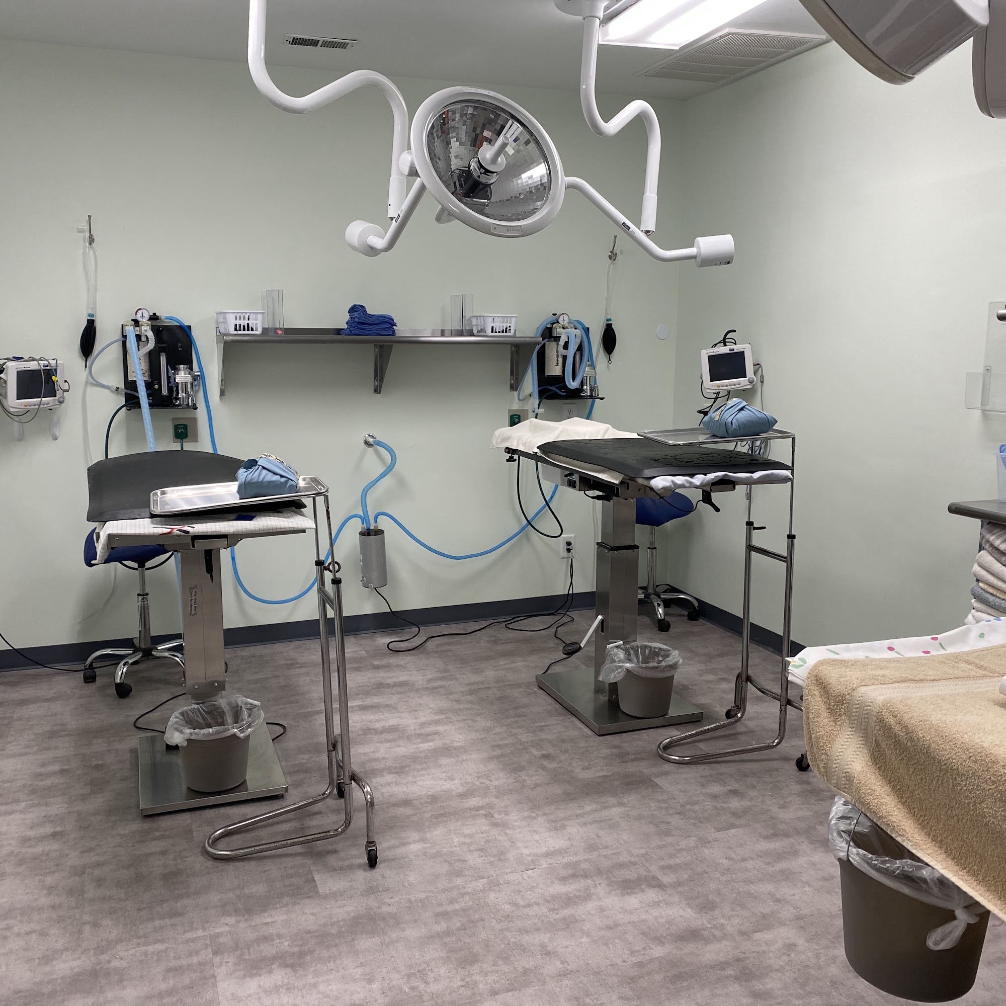 Sandhills Spay Neuter Veterinary Clinic Vass