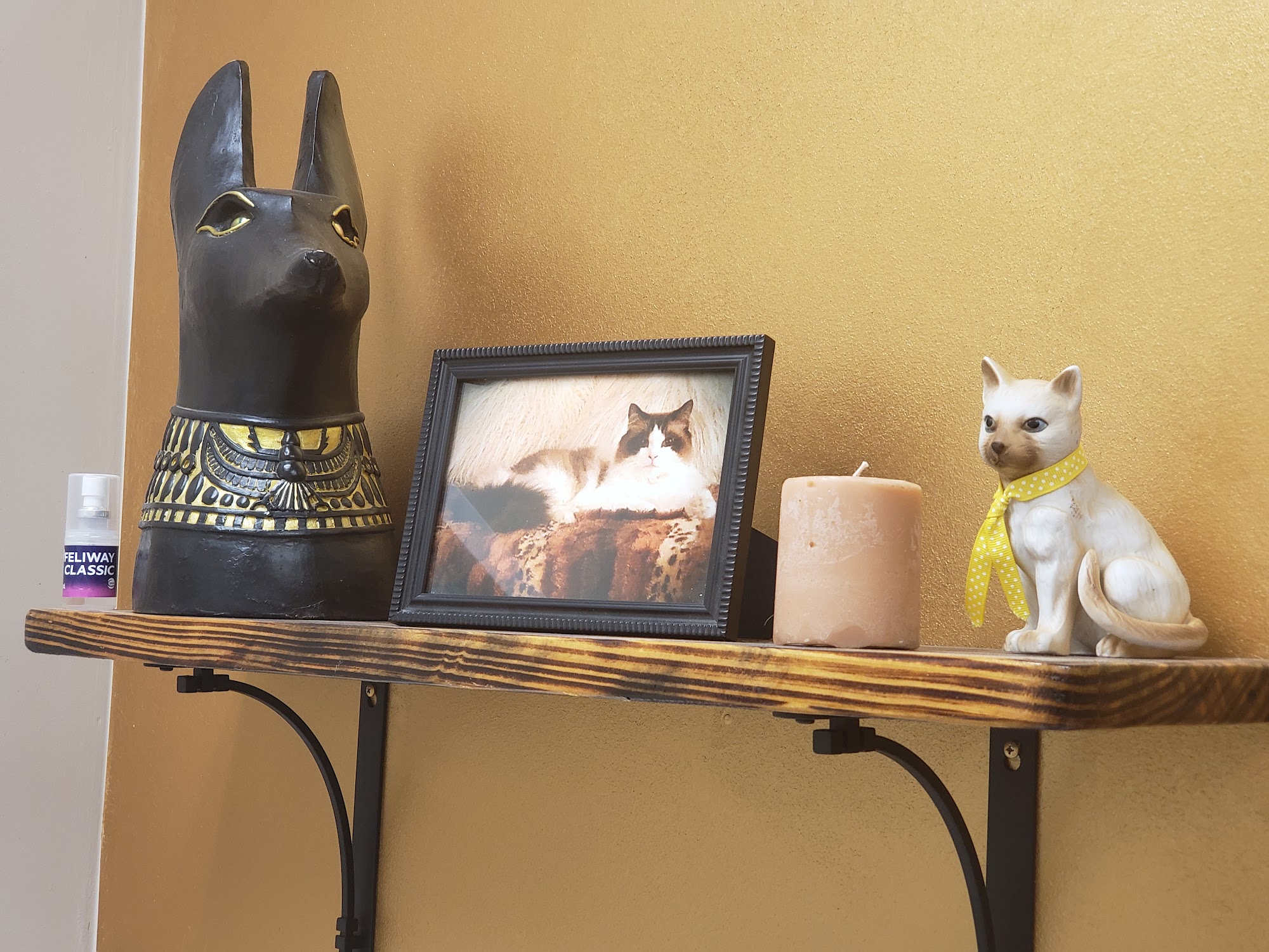 Warrenton Animal Clinic Warrenton