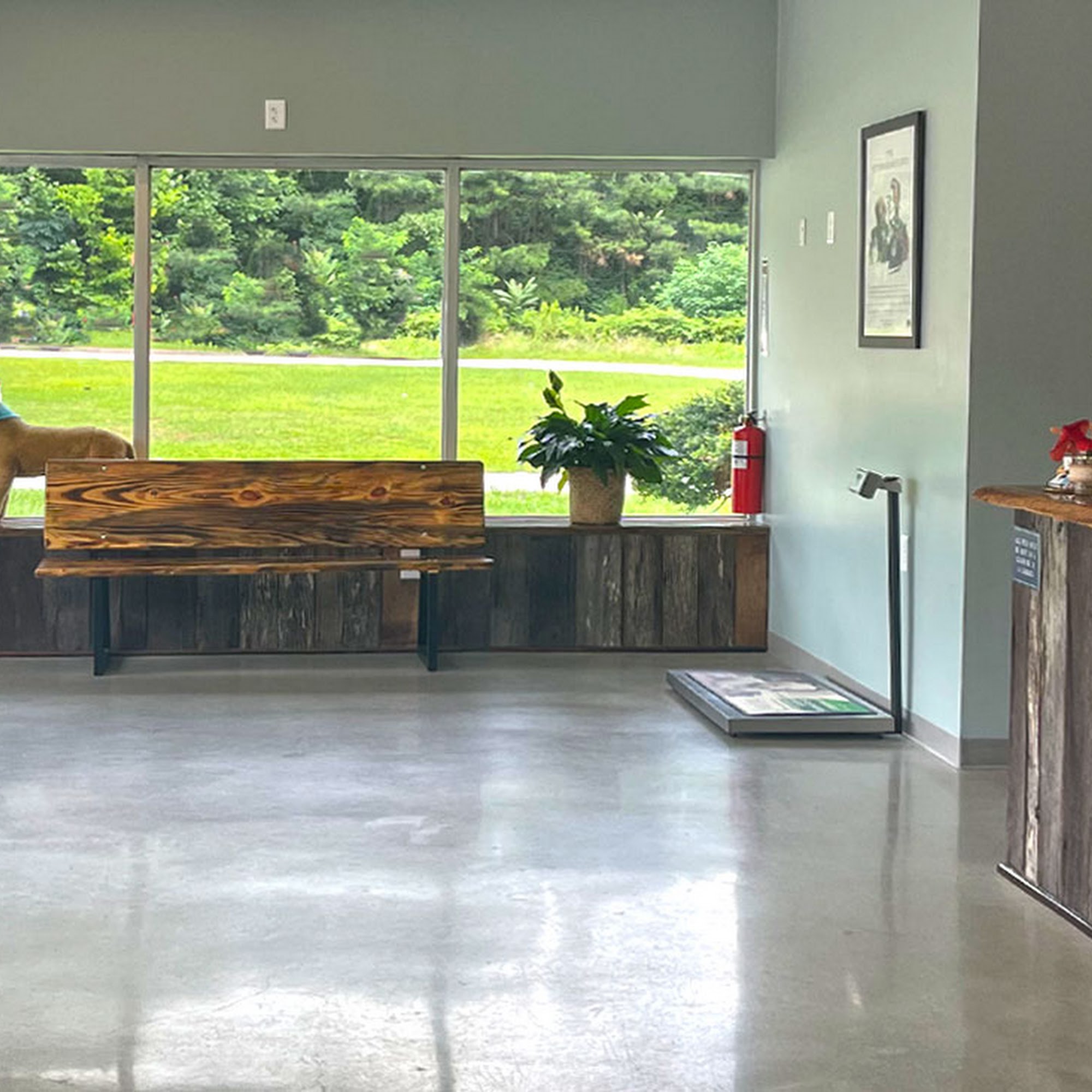 Warrenton Animal Clinic Warrenton