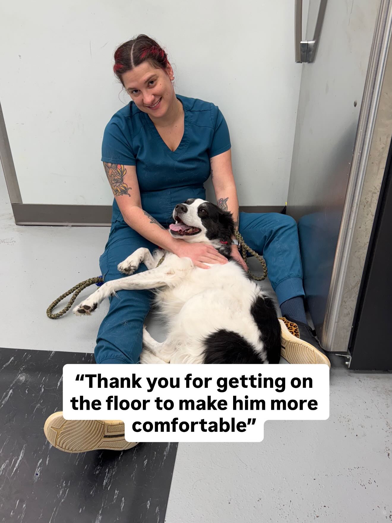 Passionate Paws Animal Hospital Waxhaw