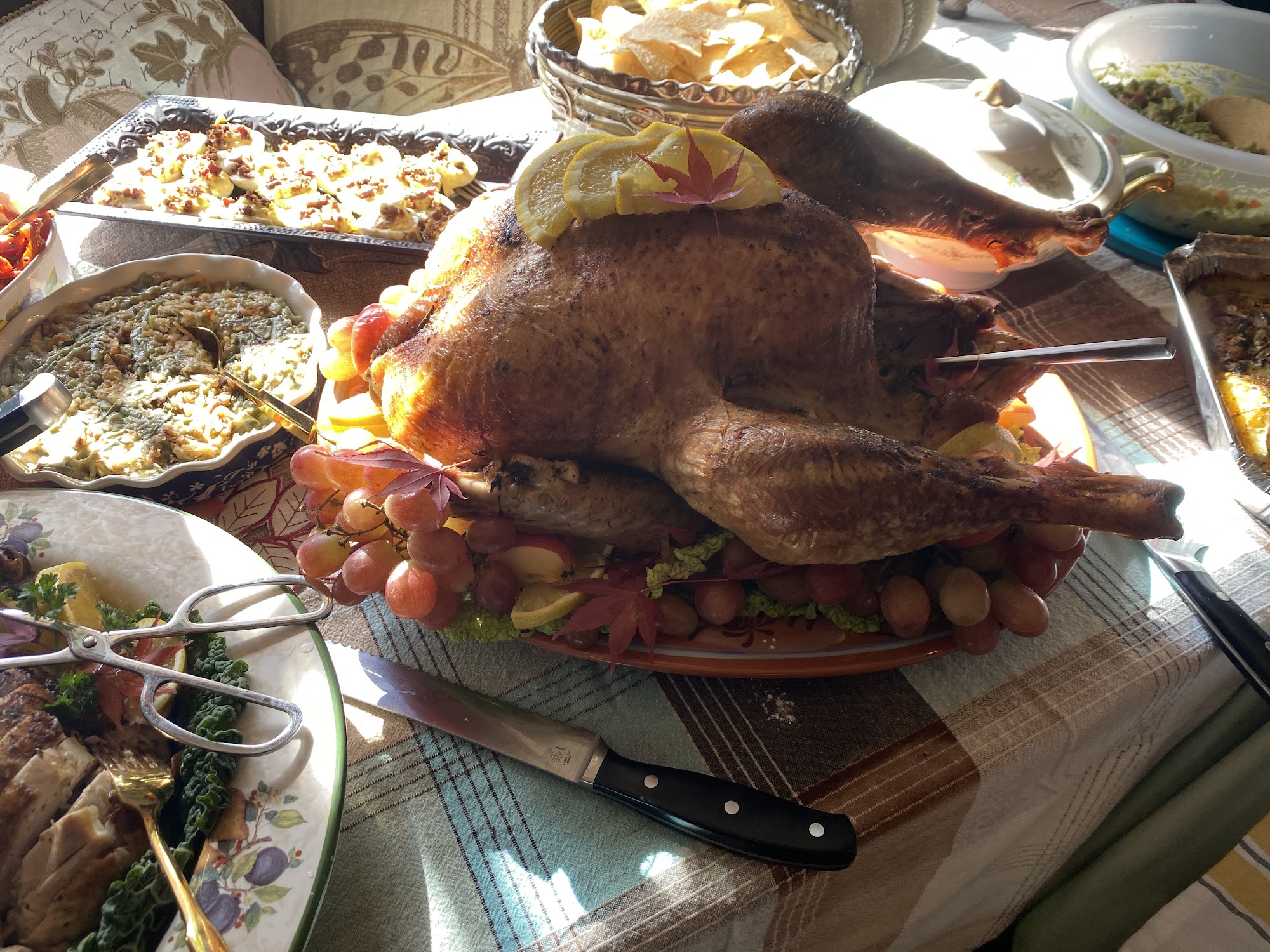 Mountain Vibes Kava Lounge Waynesville