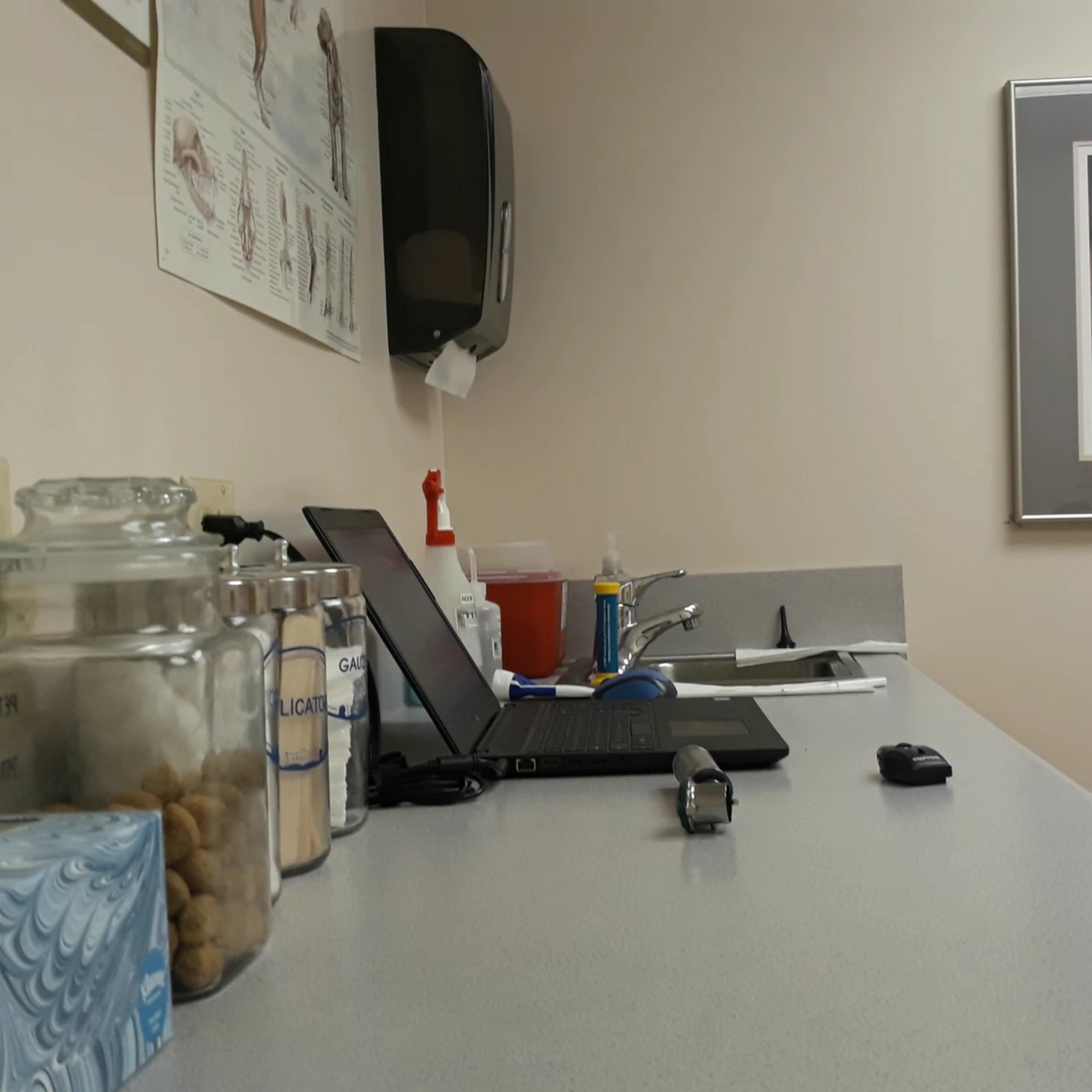 The Animal Hospital at Reems Creek Weaverville