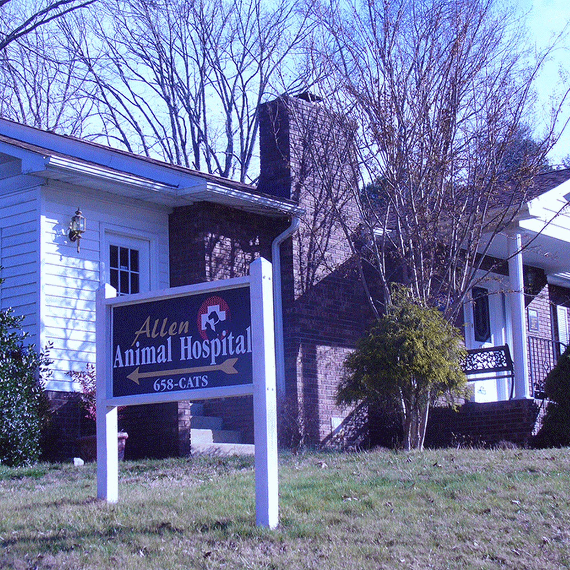 Allen Animal Hospital Weaverville
