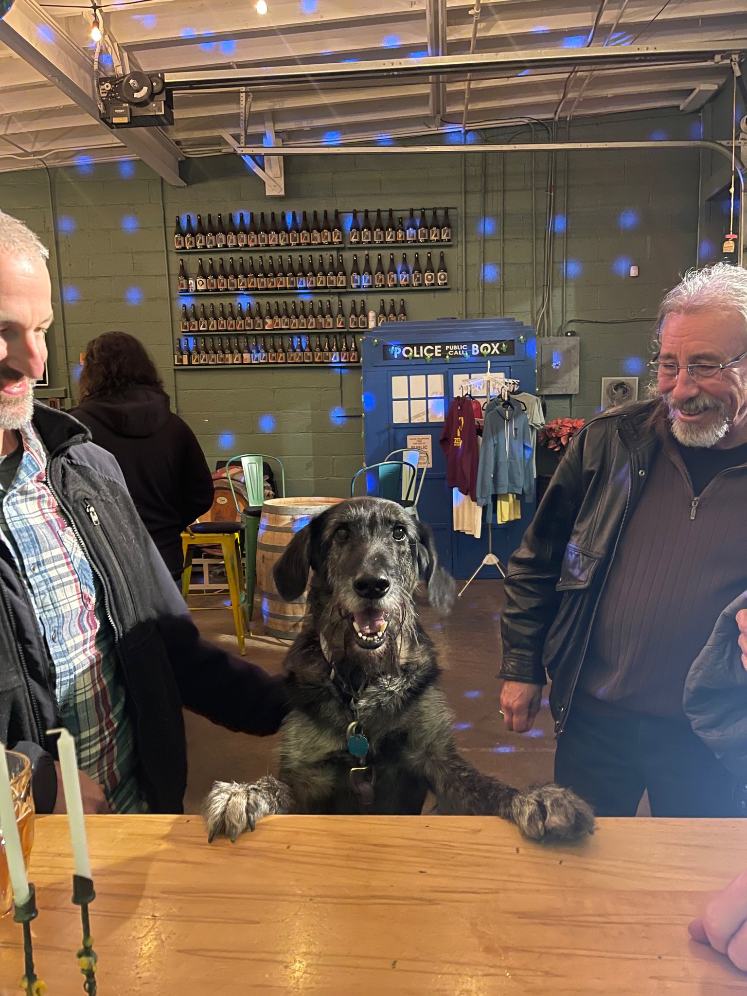 Zebulon Artisan Ales Weaverville