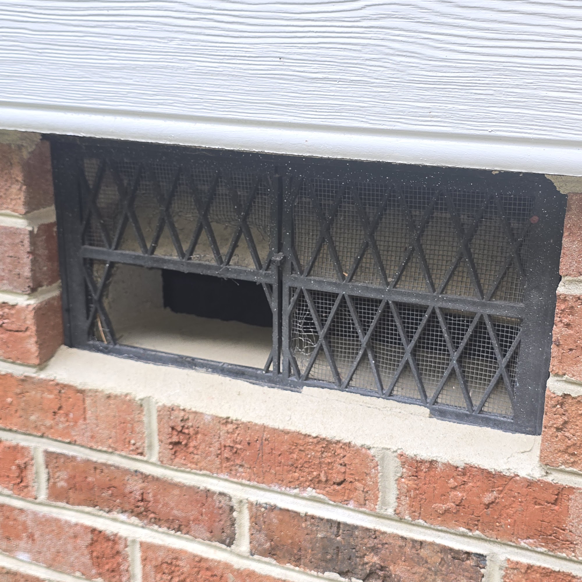 Carolina Wildlife Removal 5640 Quail Covey Ln, Wendell North Carolina 27591
