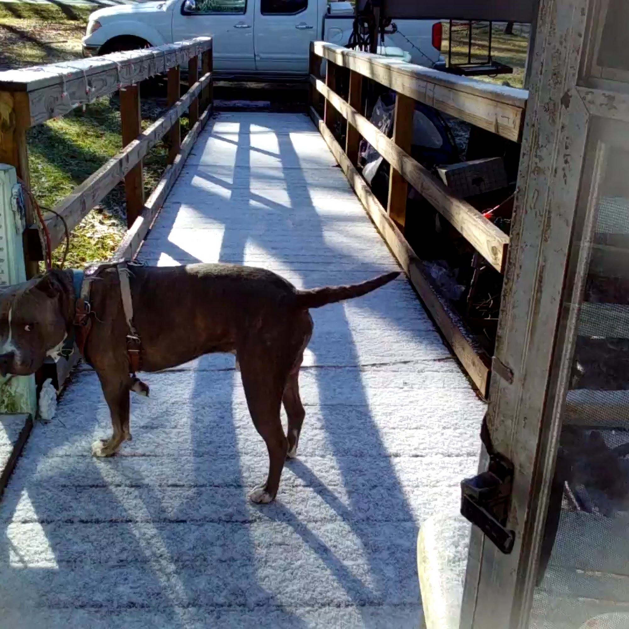 Williamston Veterinary Hospital Williamston