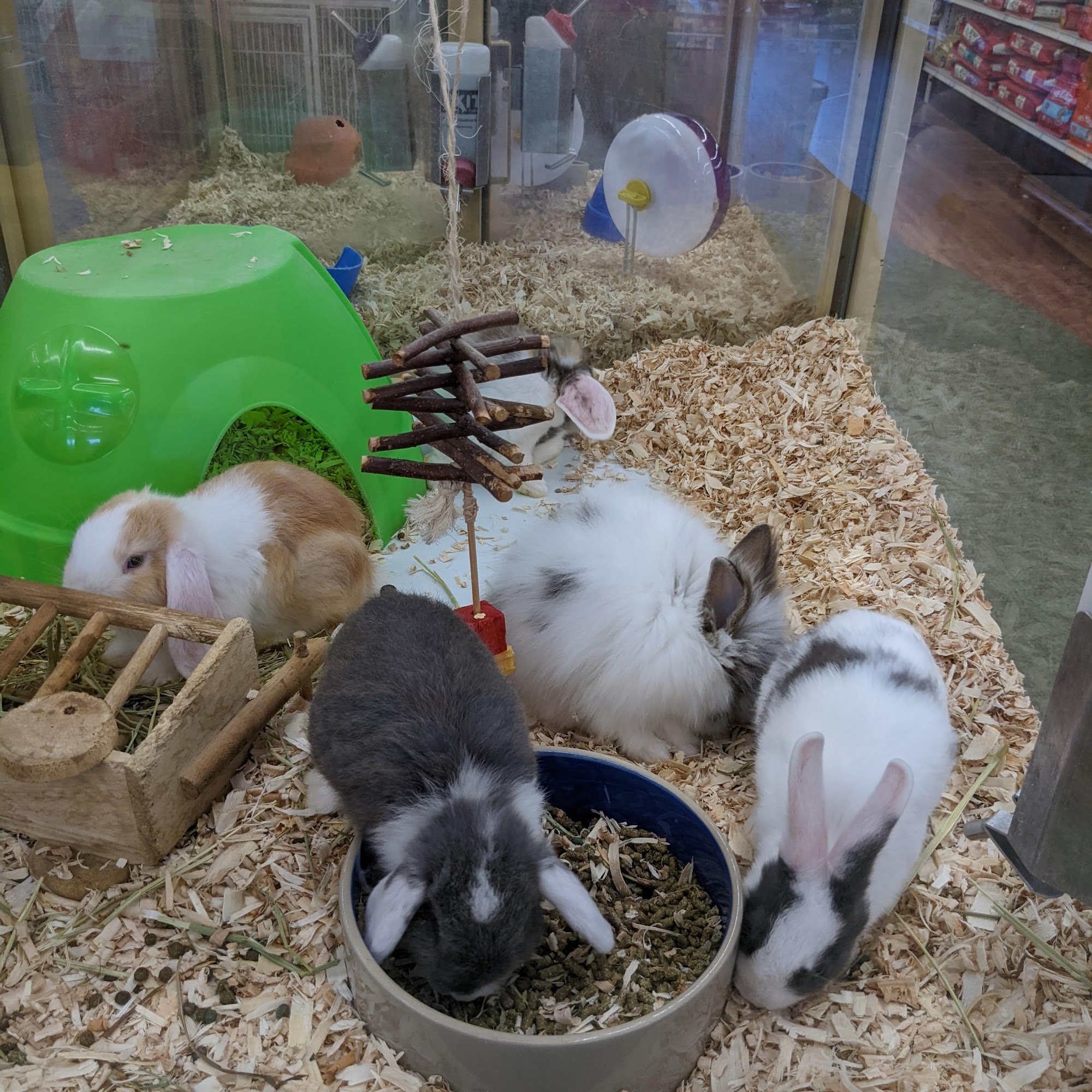 Pet Supermarket Wilmington