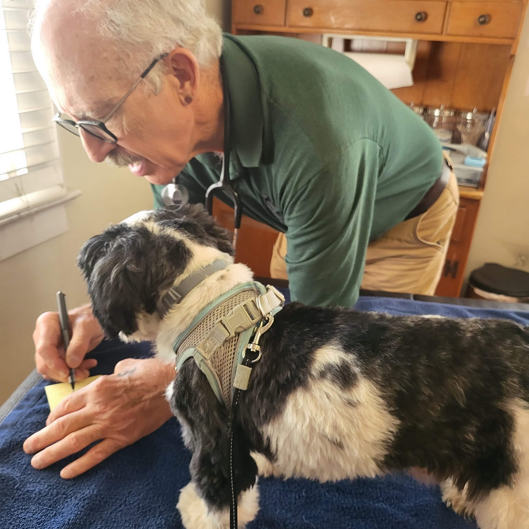 Wellspring Holistic Veterinary Care Wilmington